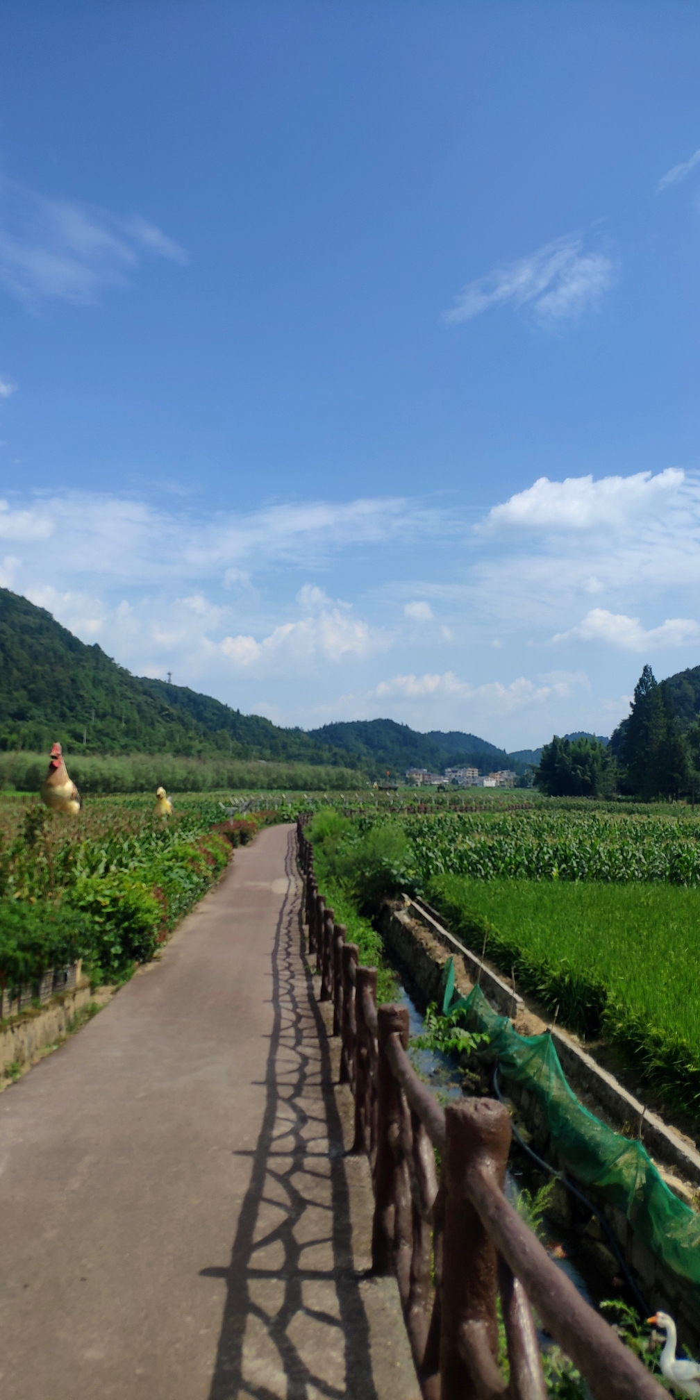 土河荷塘苗乡景区旅行图片 2