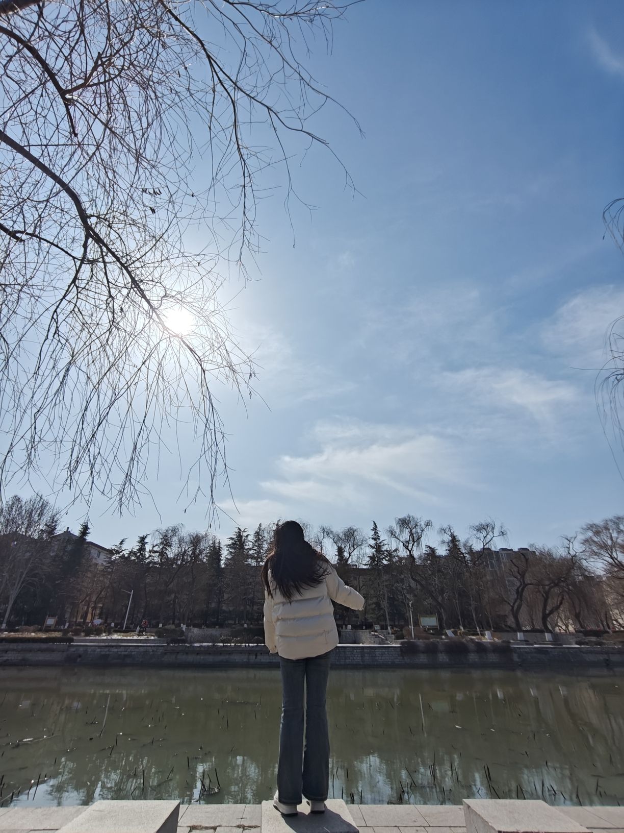市民广场旅行图片 2