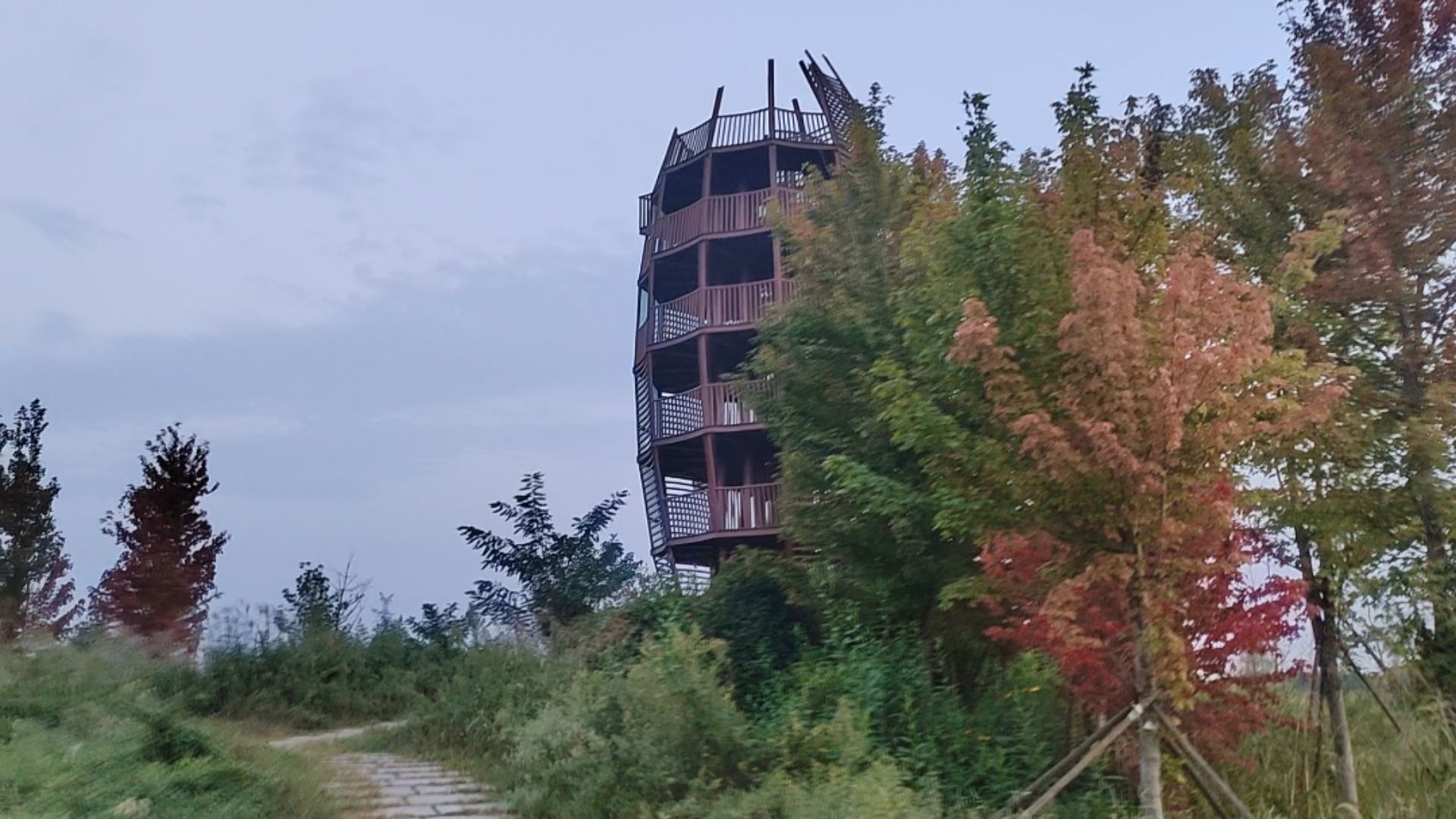 付疃河湿地公园旅行图片 1