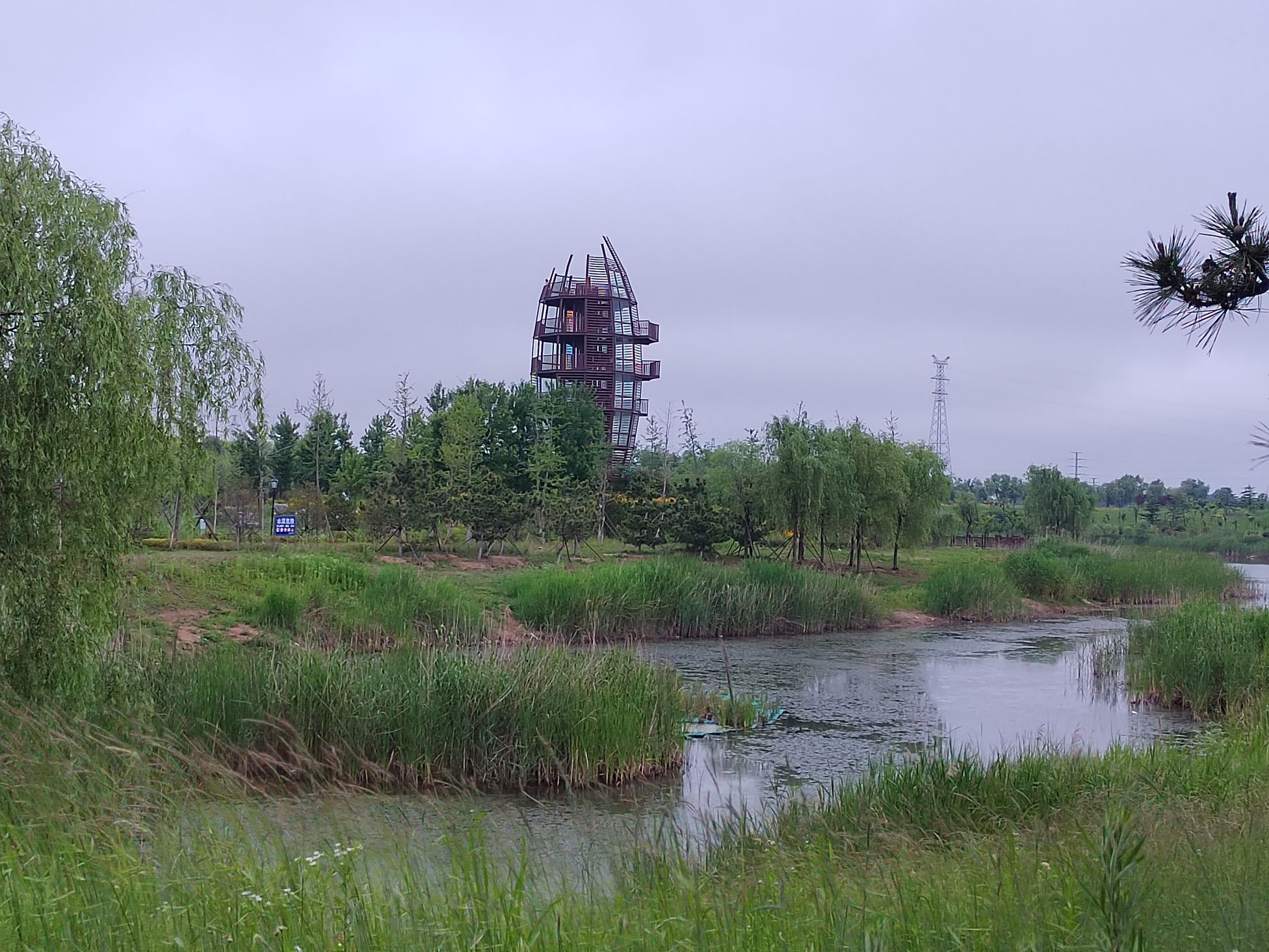 付疃河湿地公园旅行图片 1