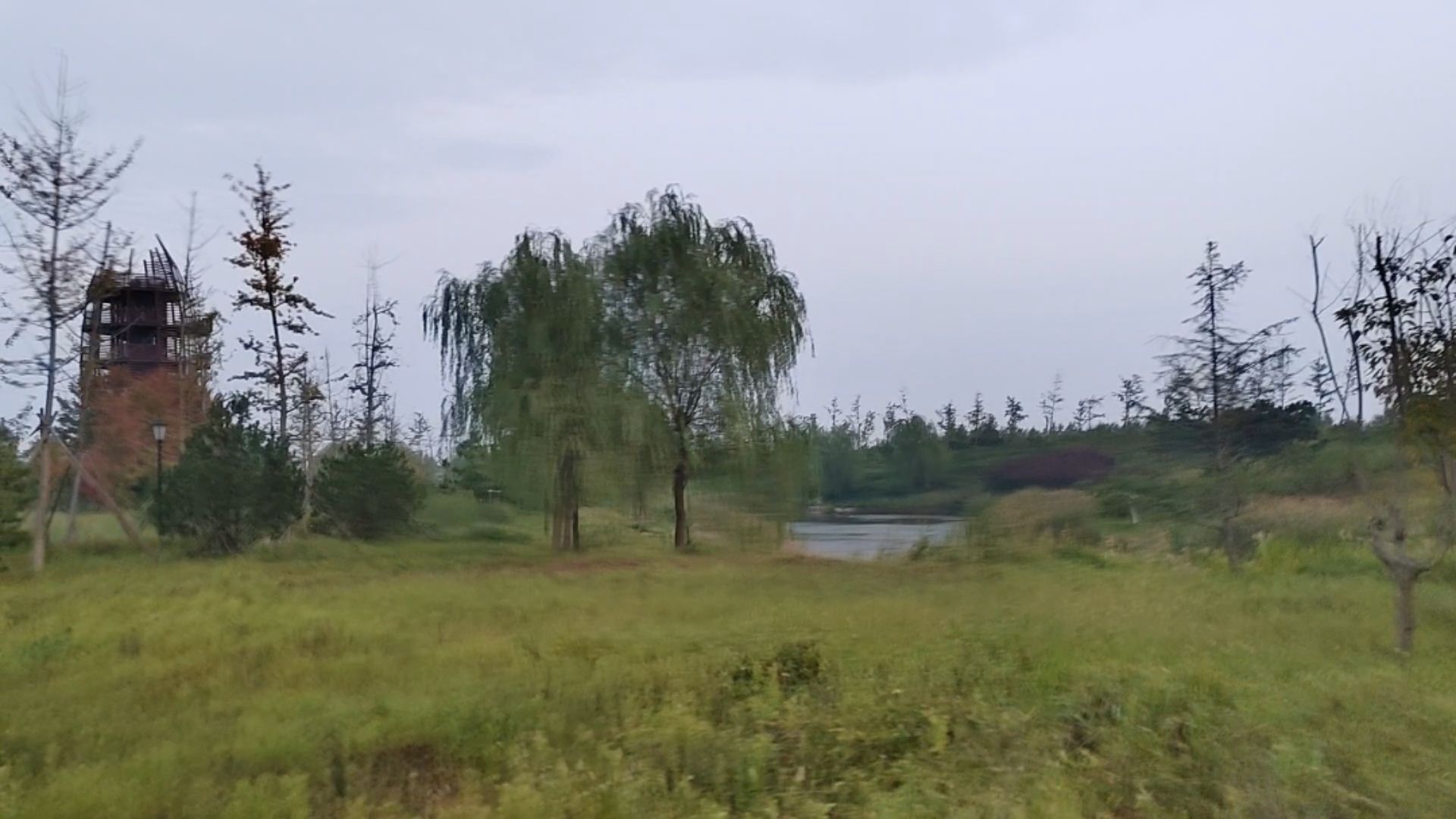 付疃河湿地公园旅行图片 2