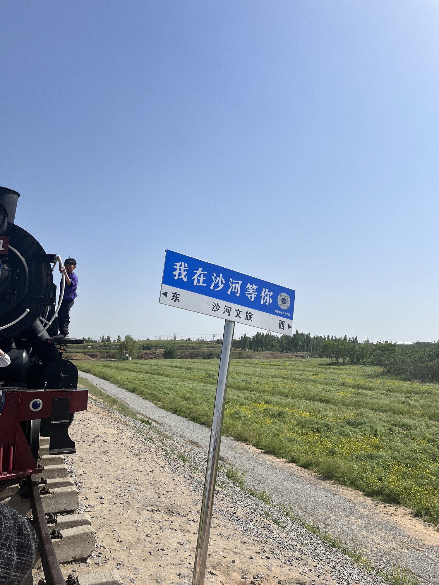 沙河红薯岭油菜花海旅行图片 1