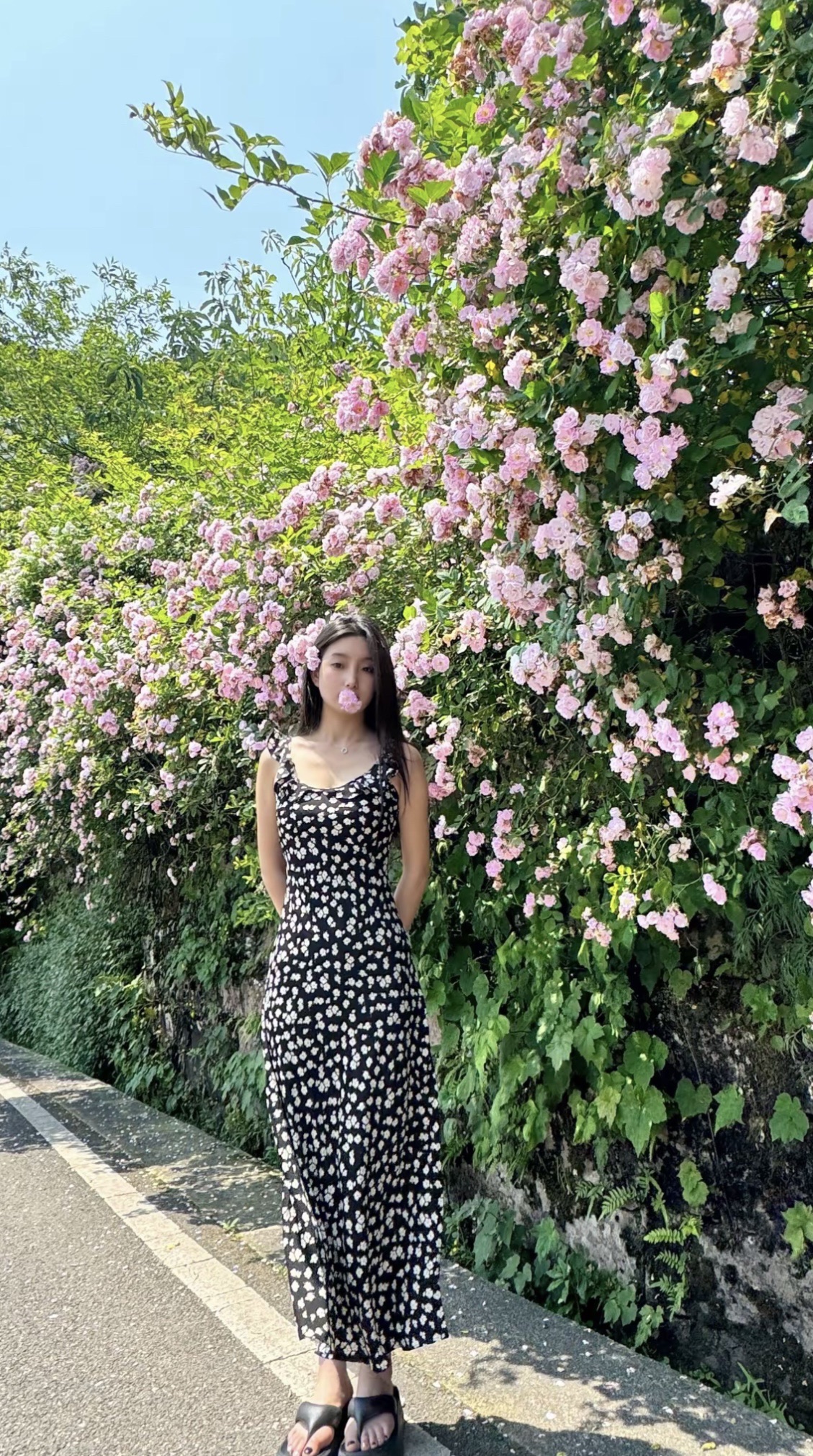 玉屏山景区旅行图片 2