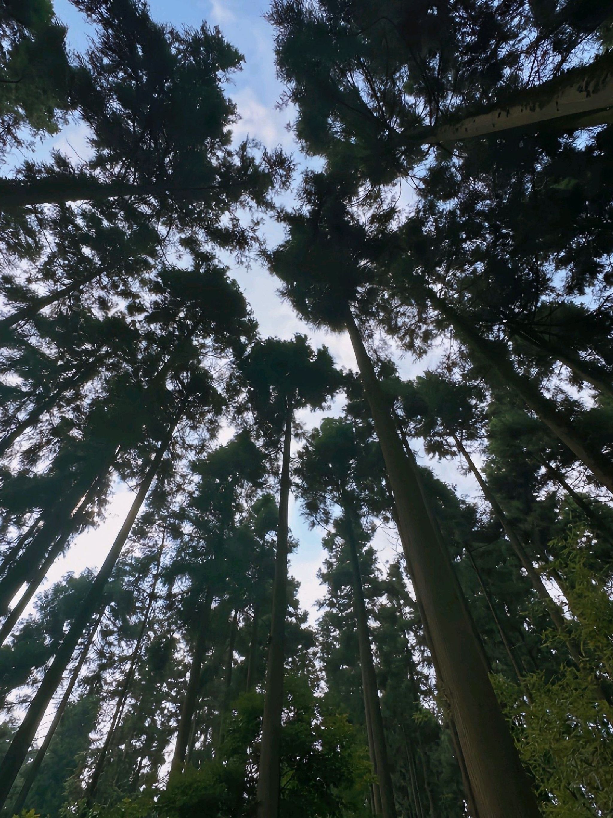 玉屏山景区旅行图片 1