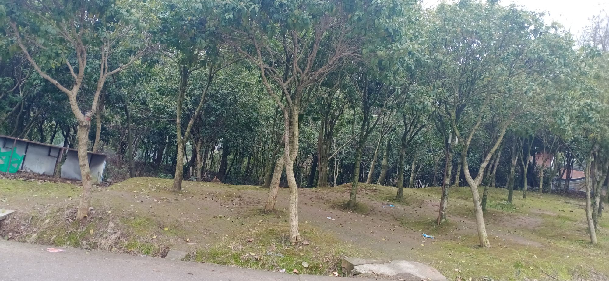 铜梁洞公园旅行图片 2