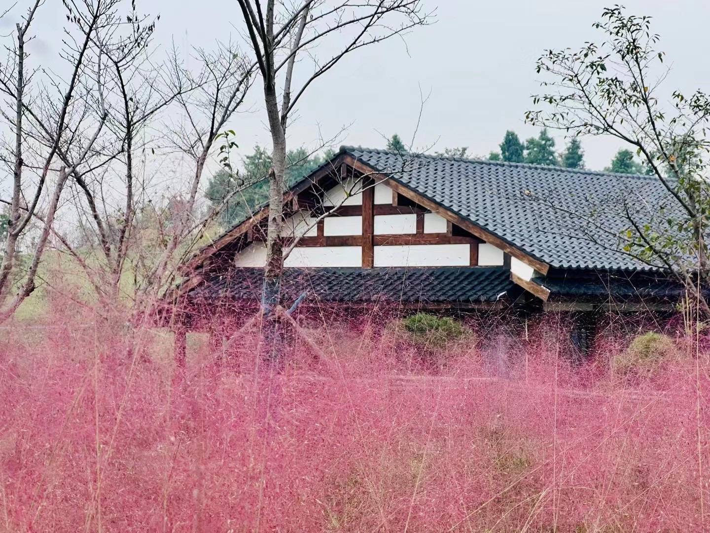 慧海湾生态公园旅行图片 2