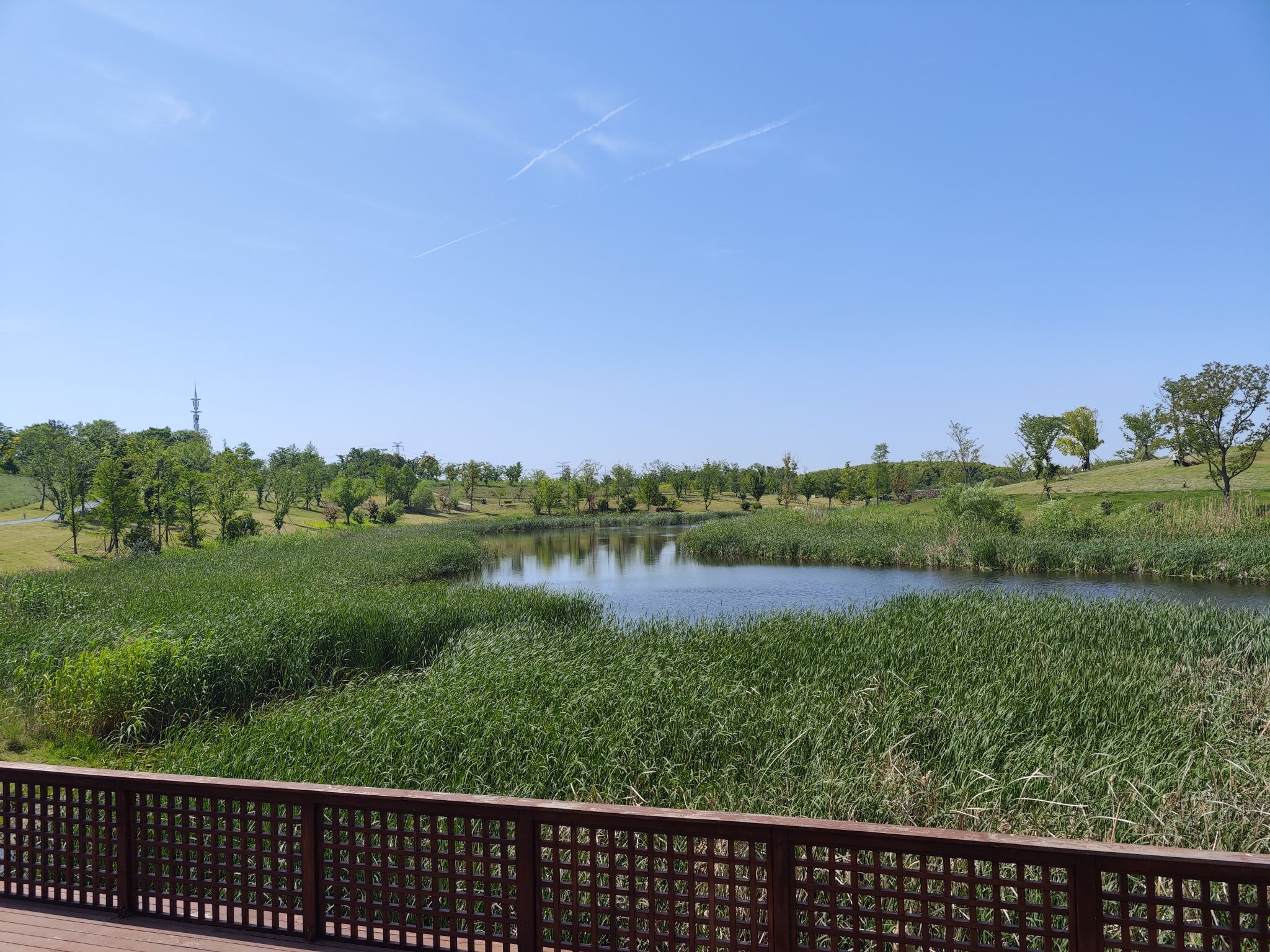慧海湾生态公园旅行图片 2