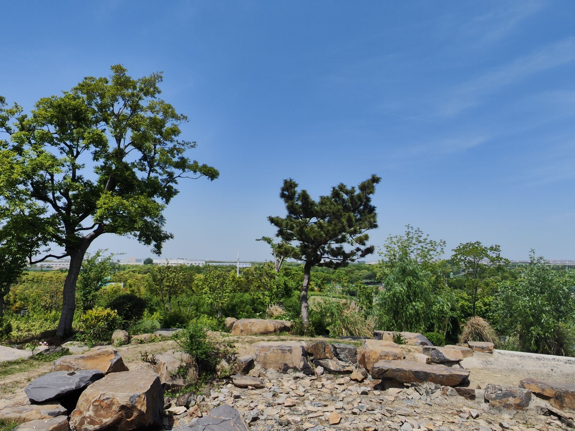 慧海湾生态公园旅行图片 1