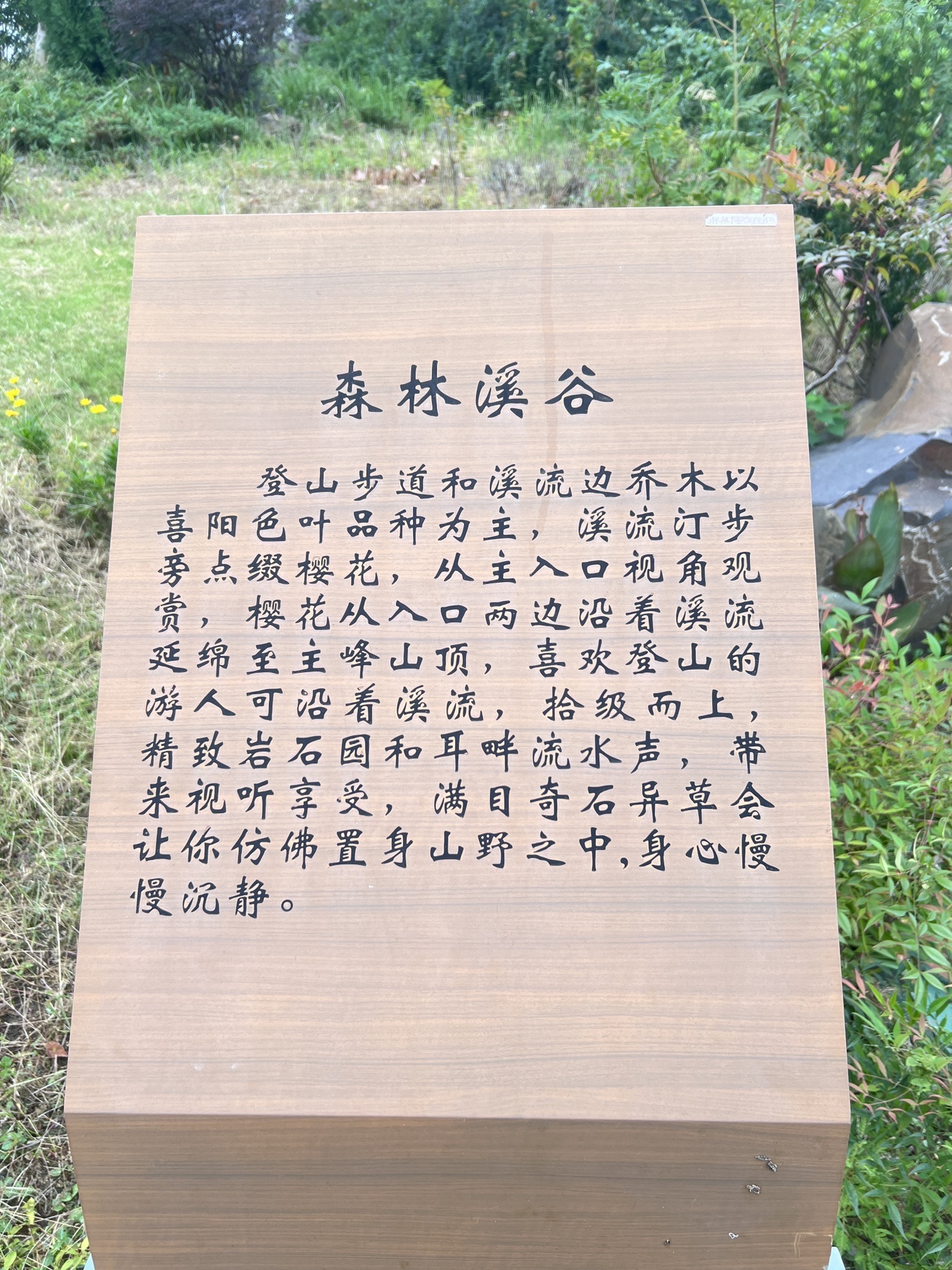 慧海湾生态公园旅行图片 3