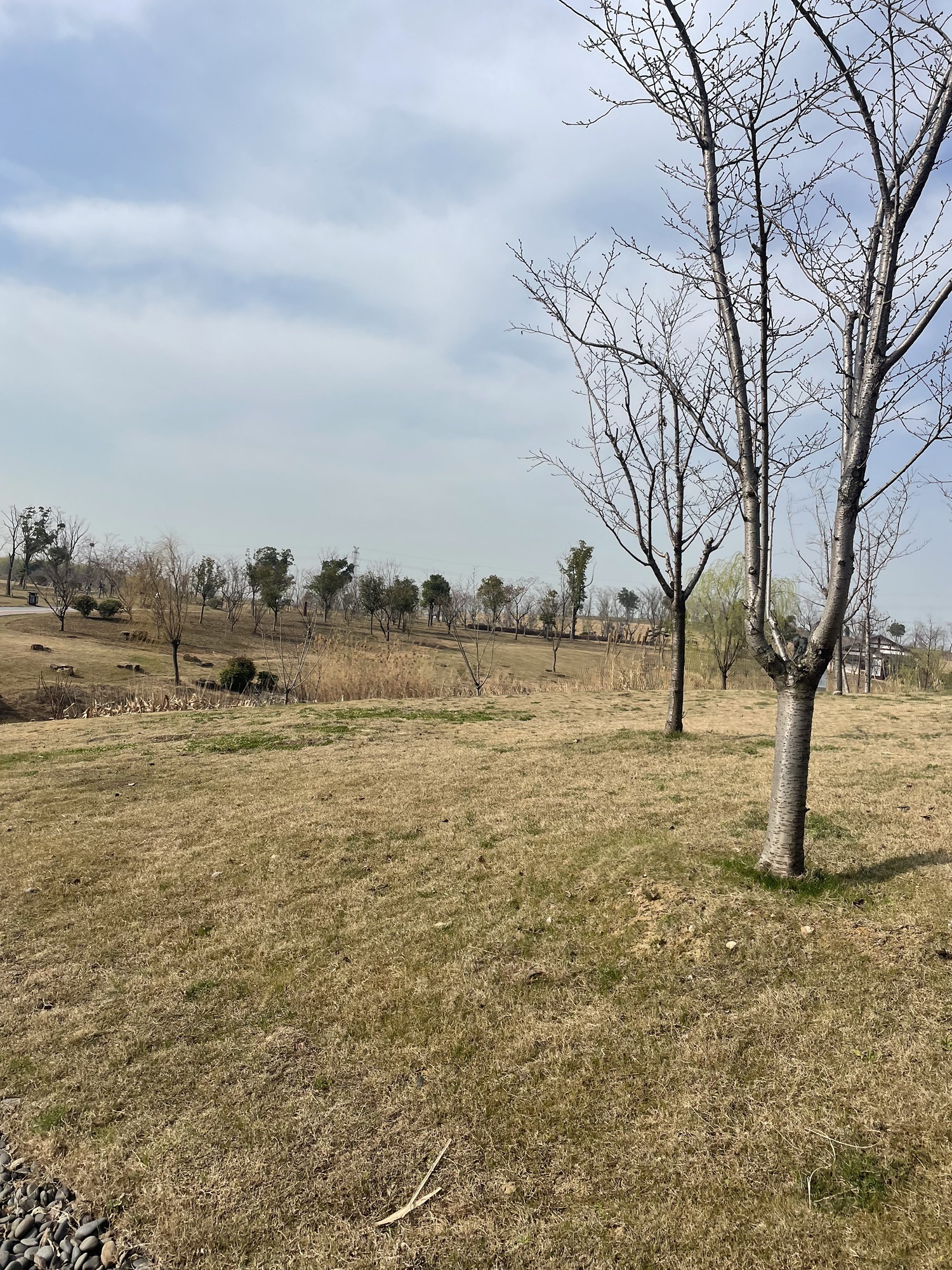 慧海湾生态公园旅行图片 3