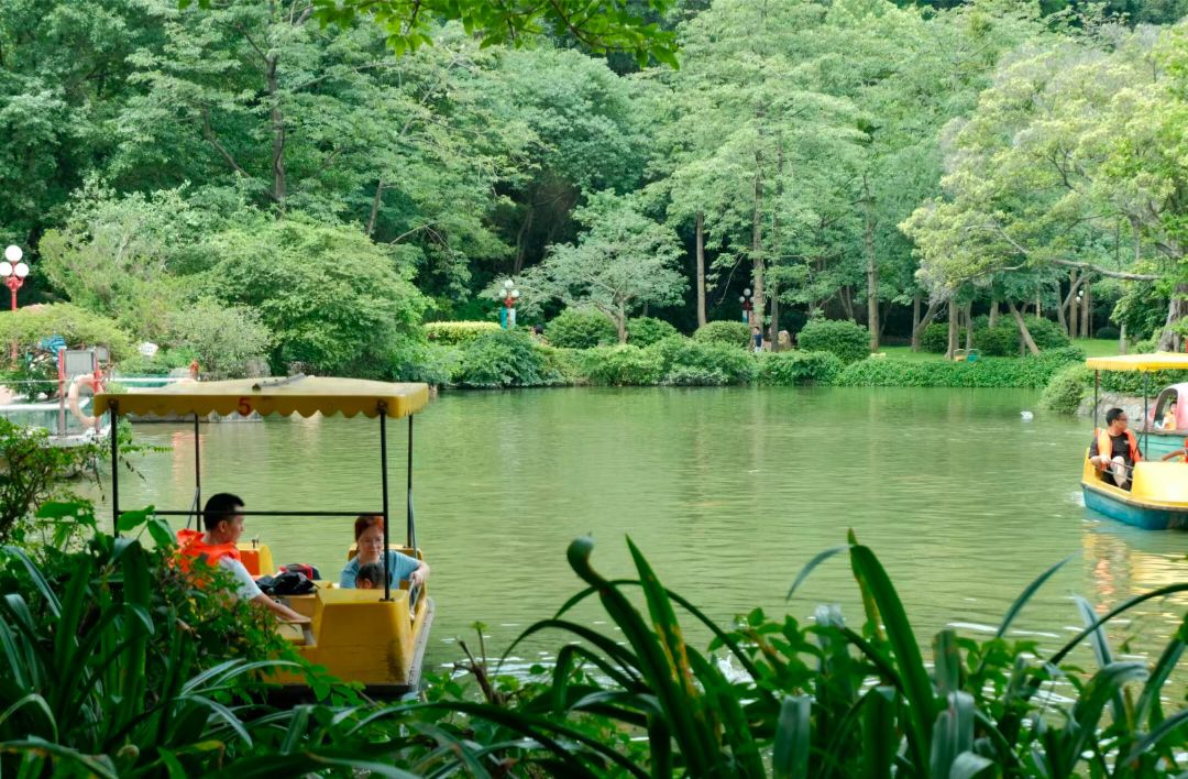 龙山体育公园旅行图片 1