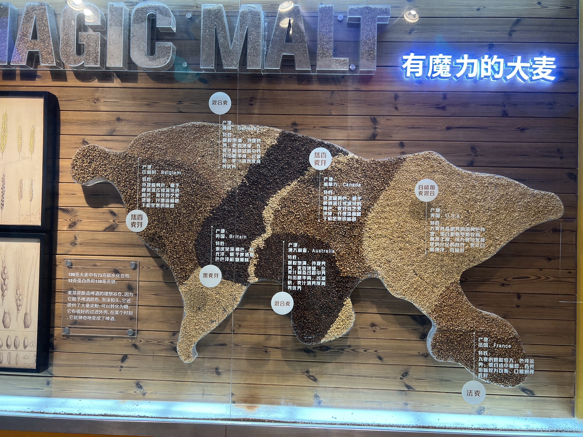百威中国啤酒博物馆旅行图片 1