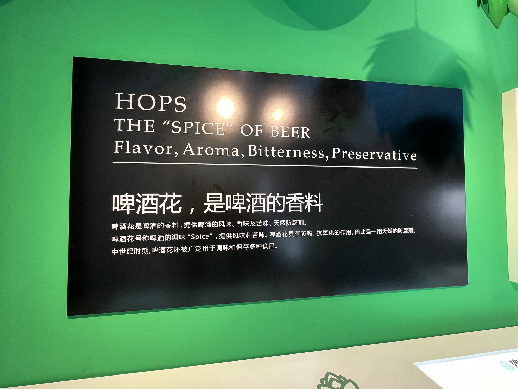 百威中国啤酒博物馆旅行图片 2