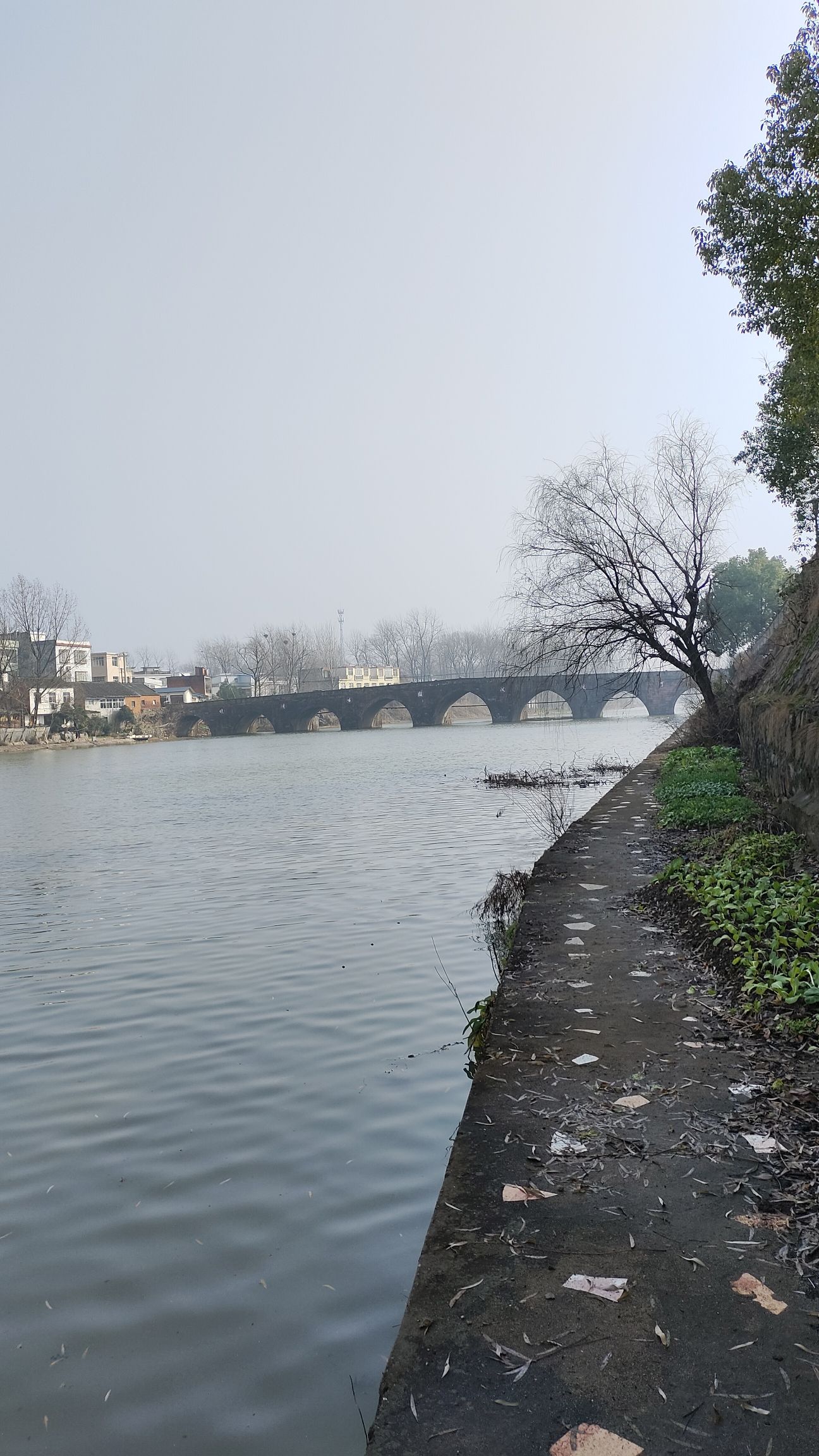 永济桥旅行图片 2