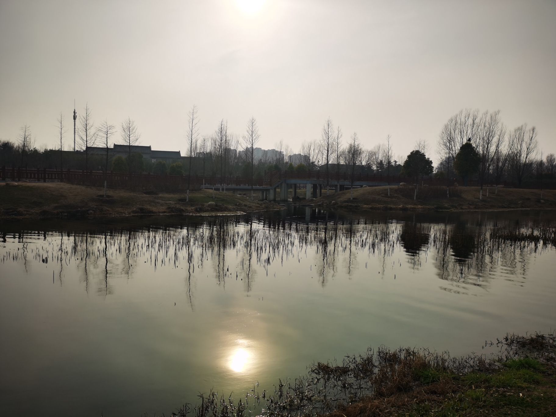 湛河生态文化园旅行图片 1