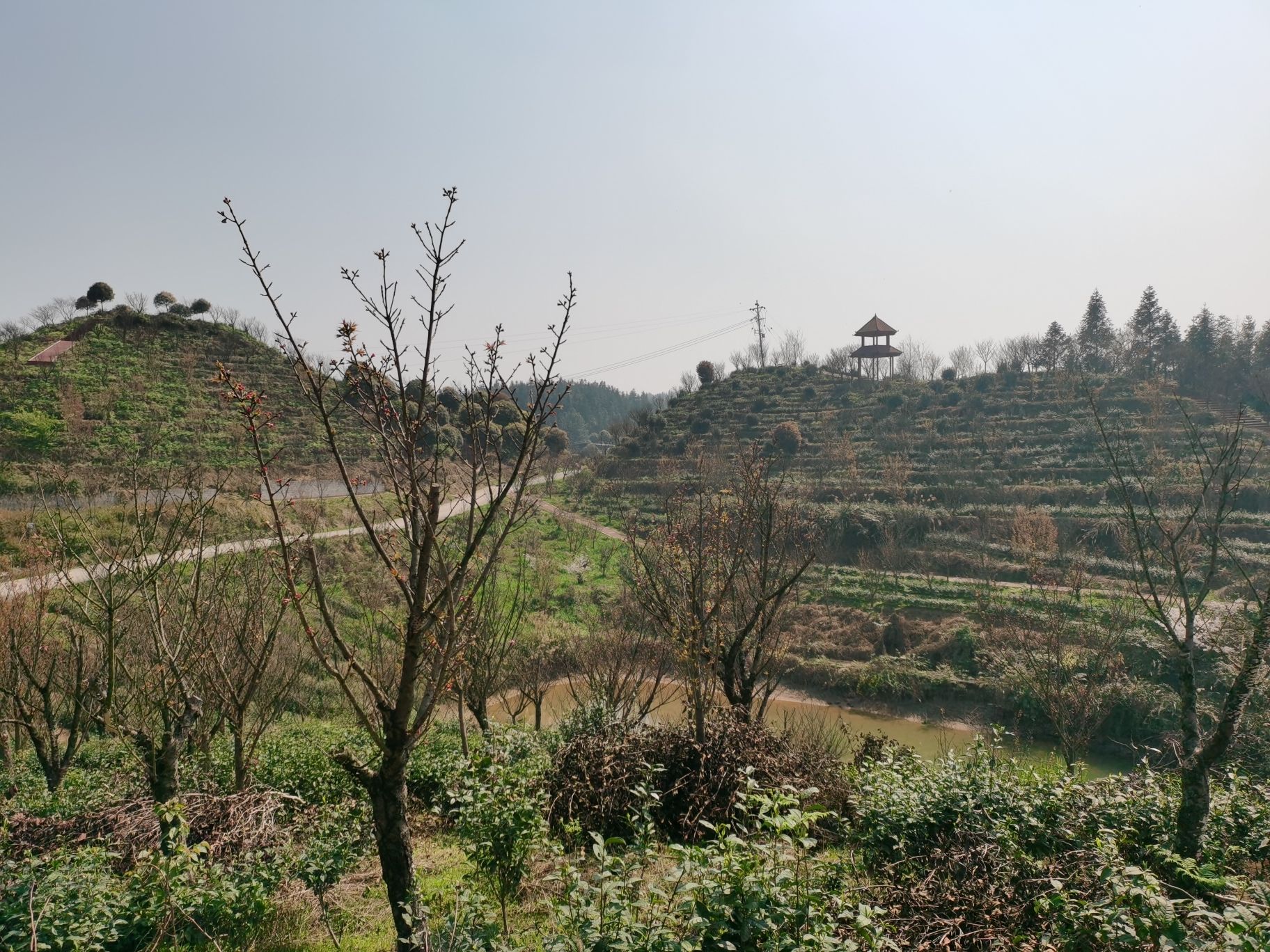 春龙花果山旅行图片 2