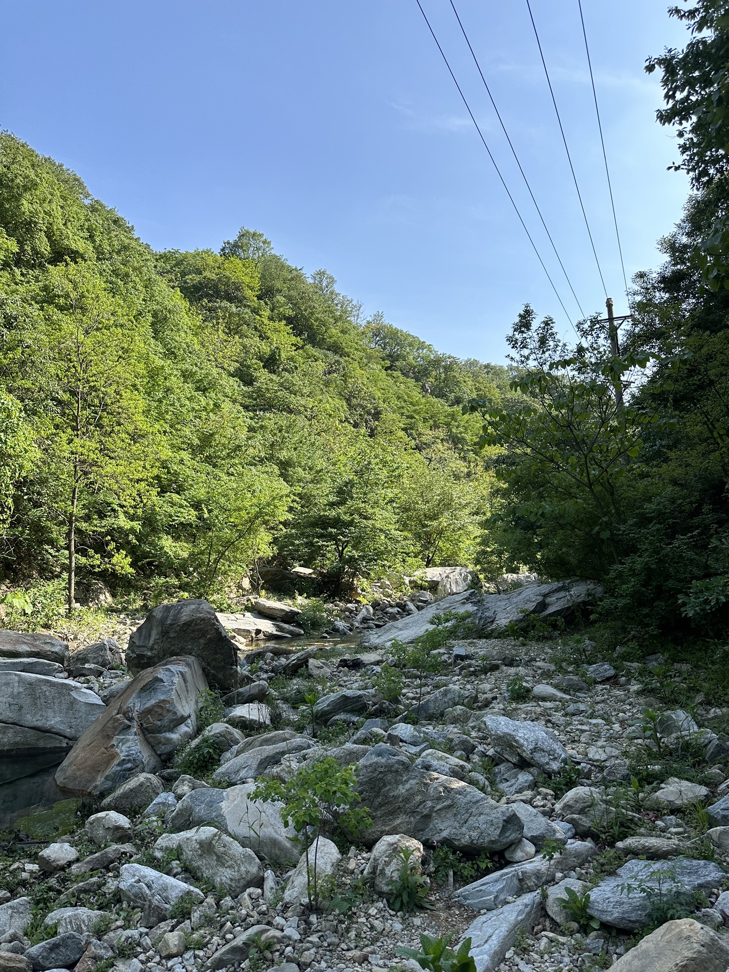 白云山旅行图片 3