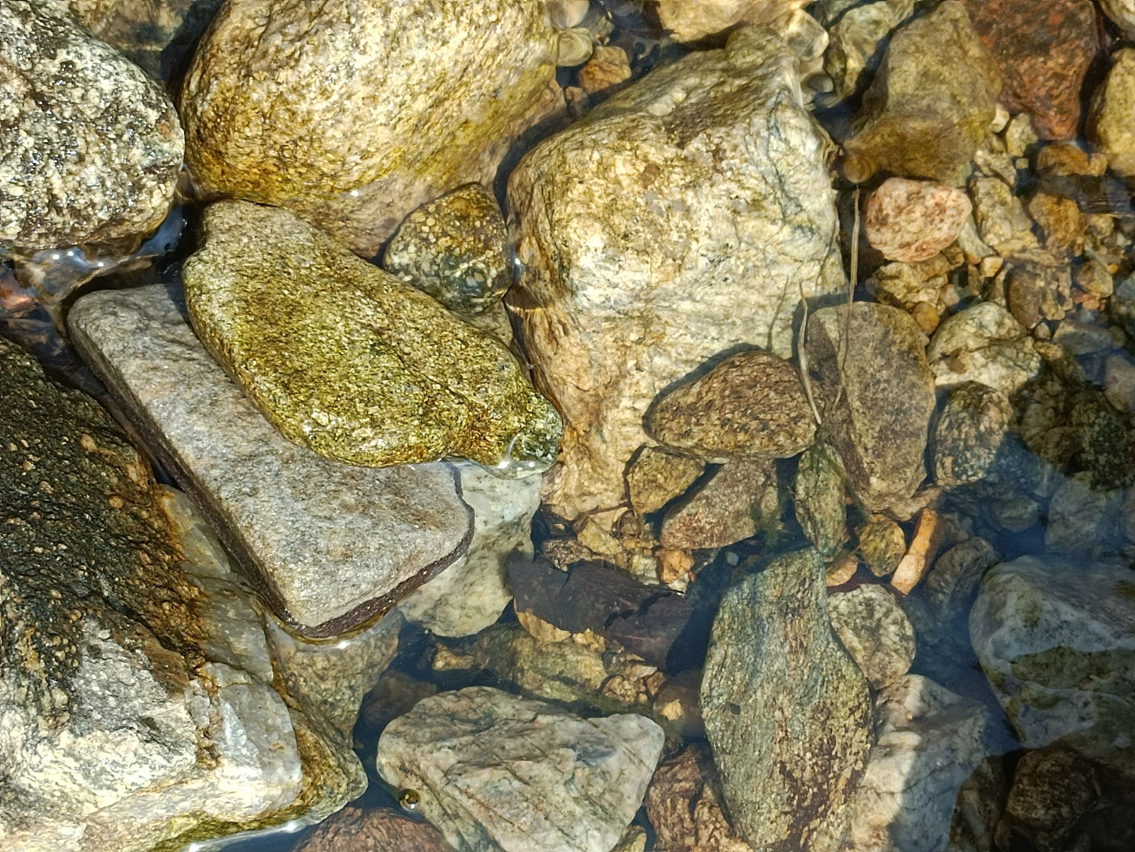 白云山旅行图片 2