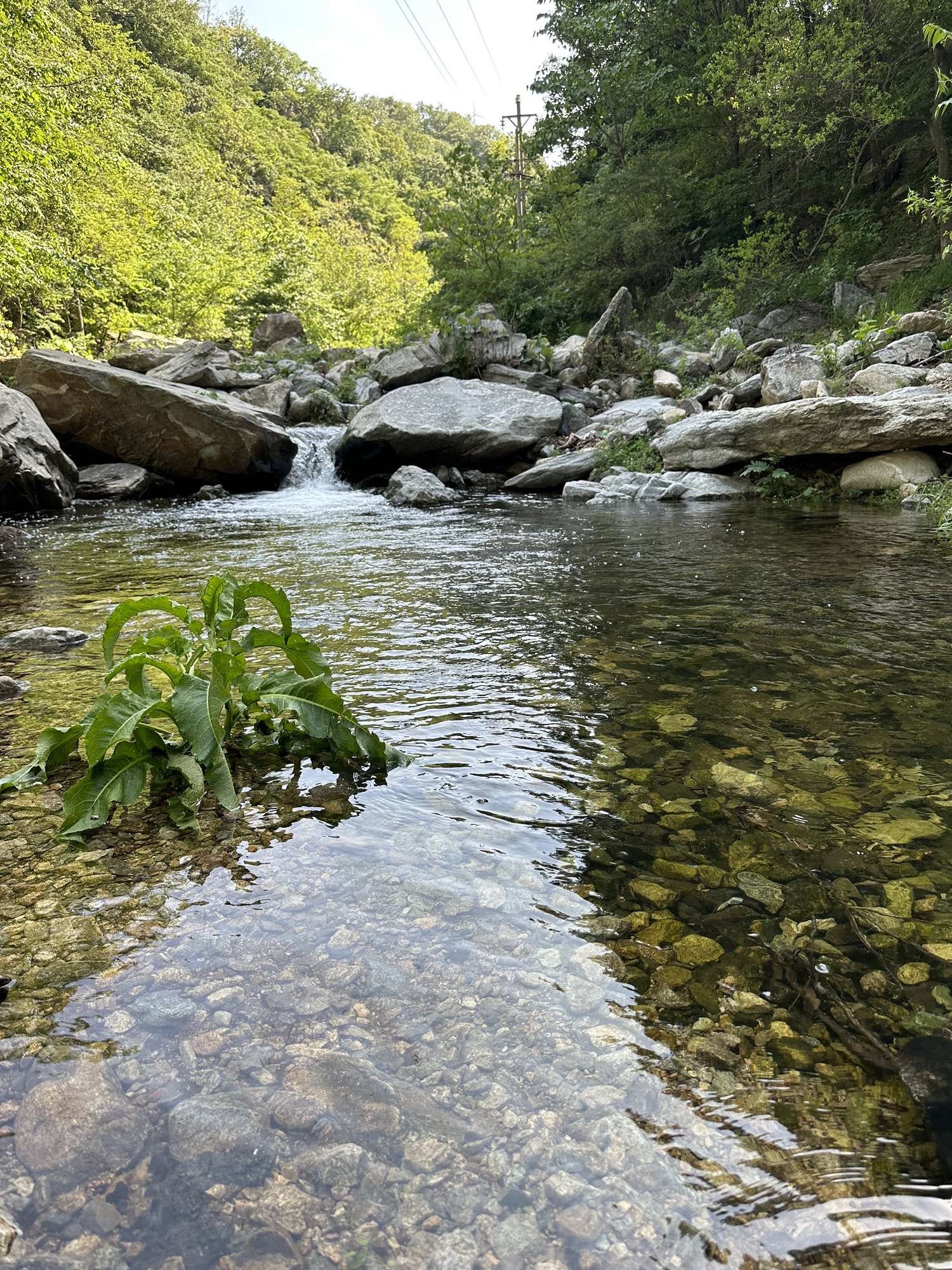 白云山旅行图片 1