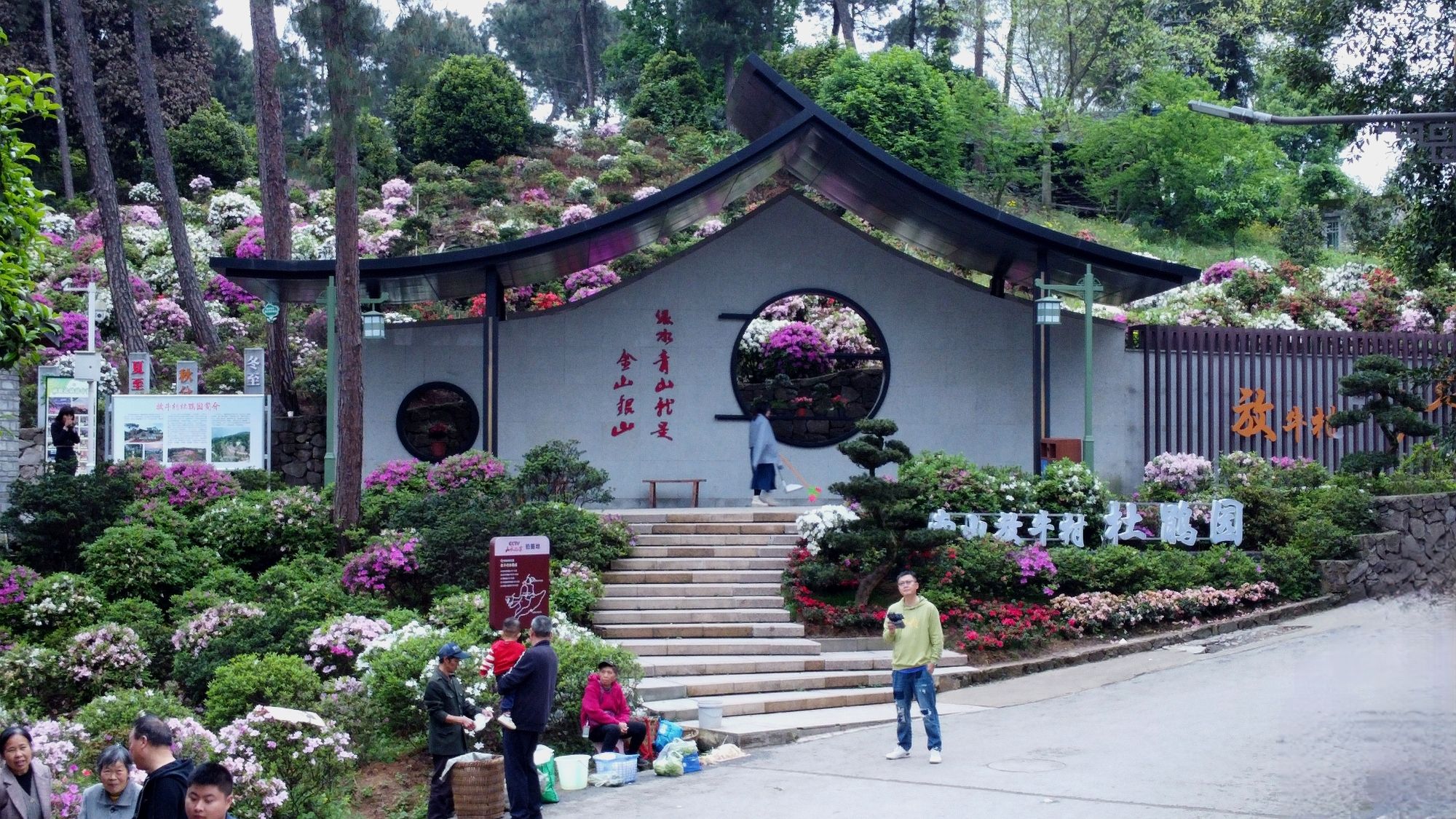 南山放牛村杜鹃园旅行图片 1