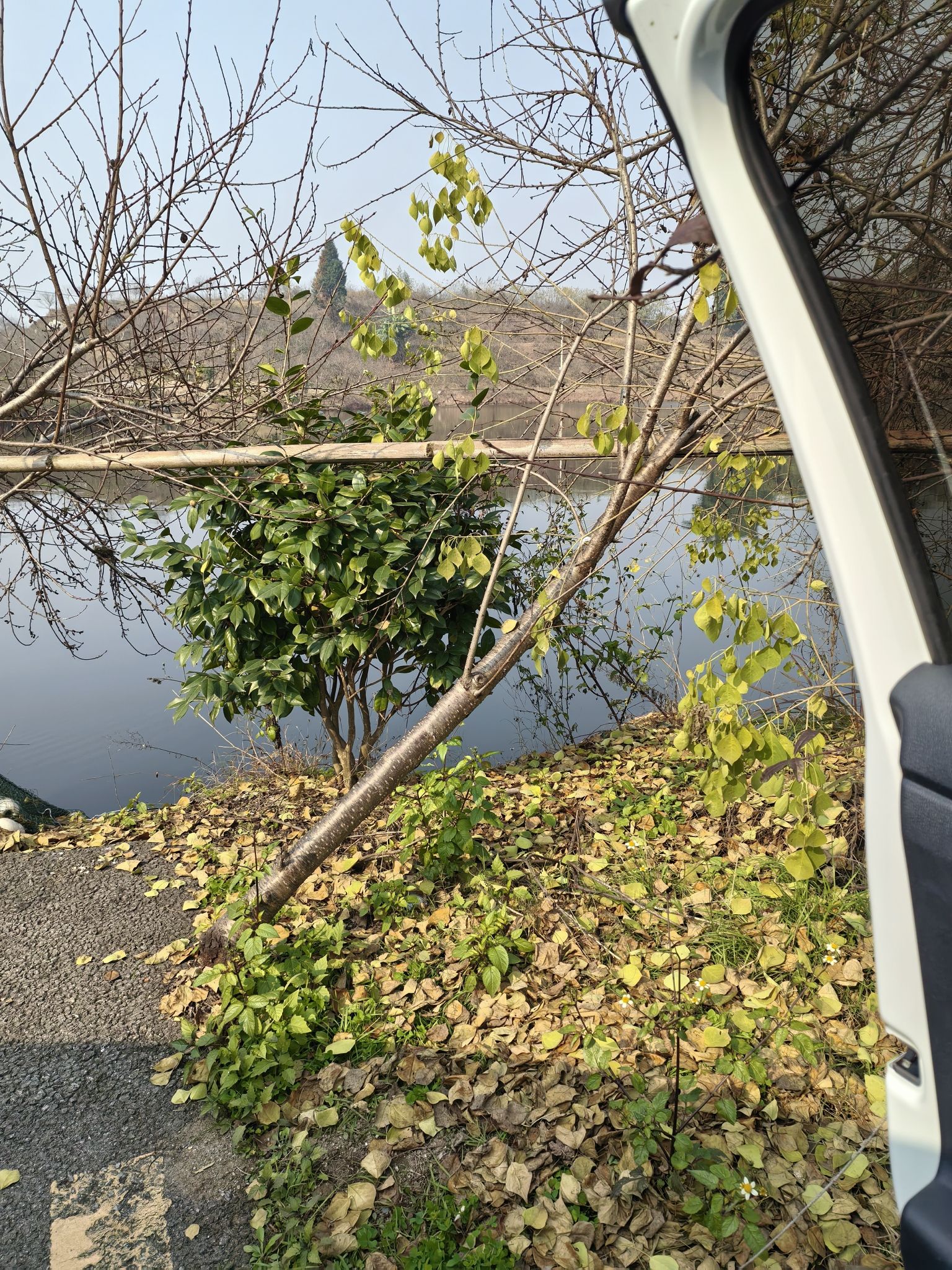瑞鑫火箭湖旅游景区旅行图片 3