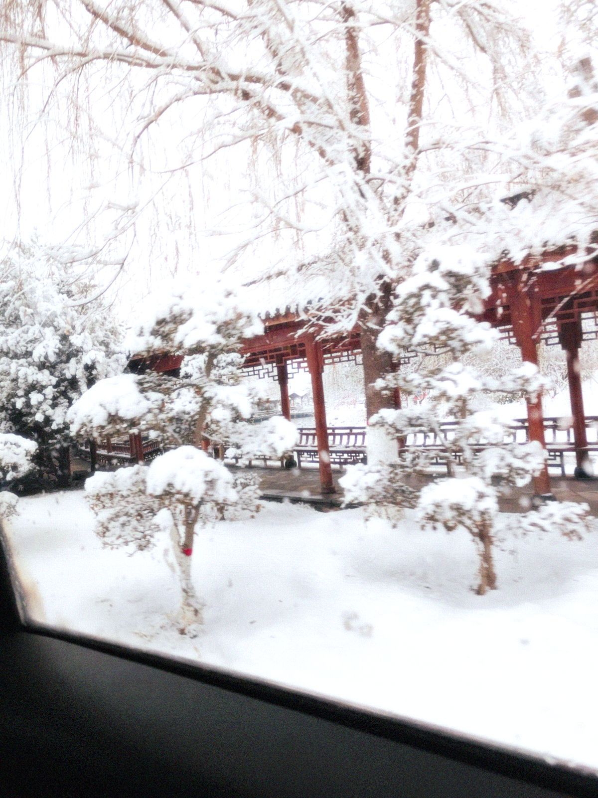 龙文化公园旅行图片 3