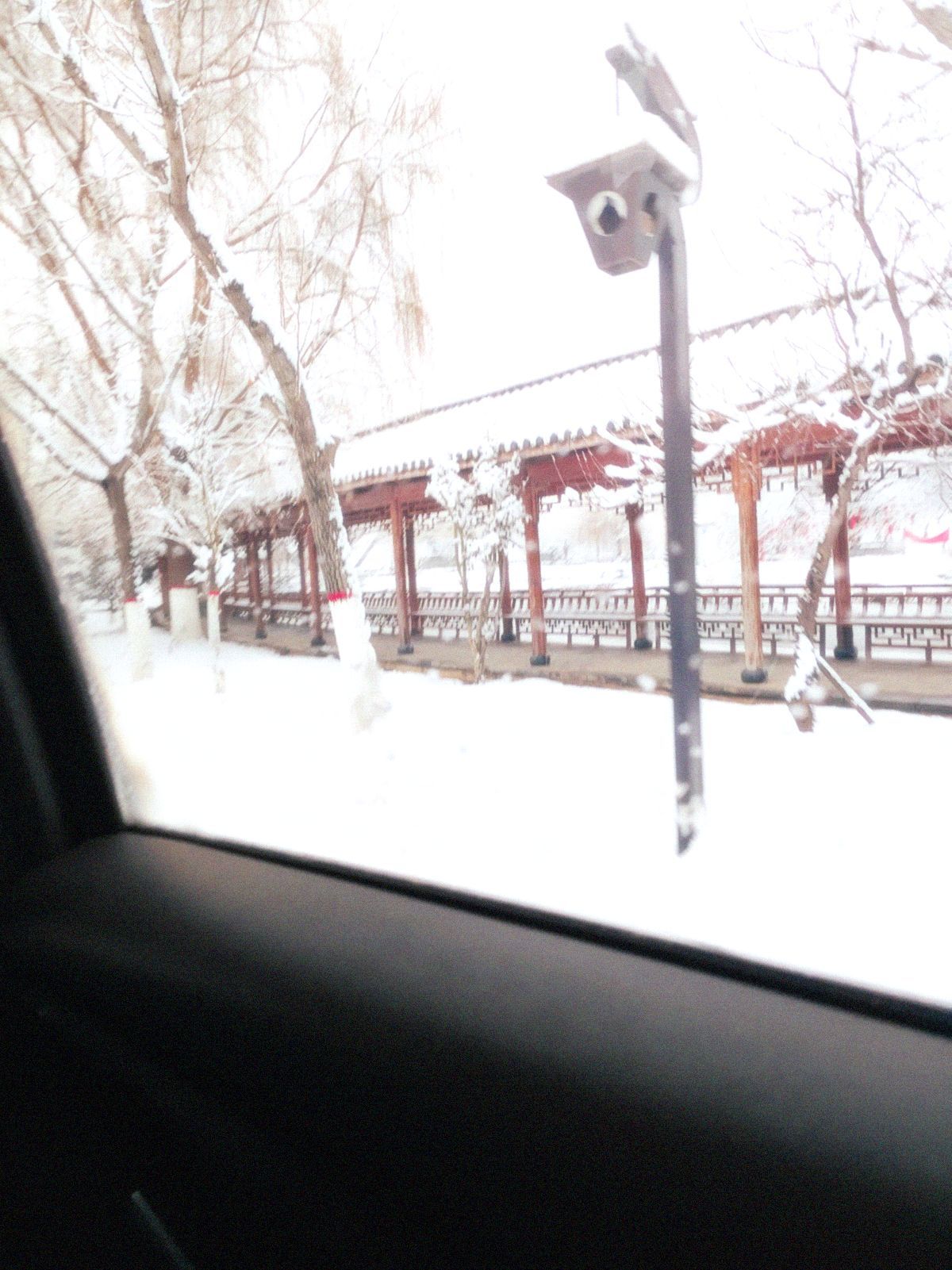 龙文化公园旅行图片 2