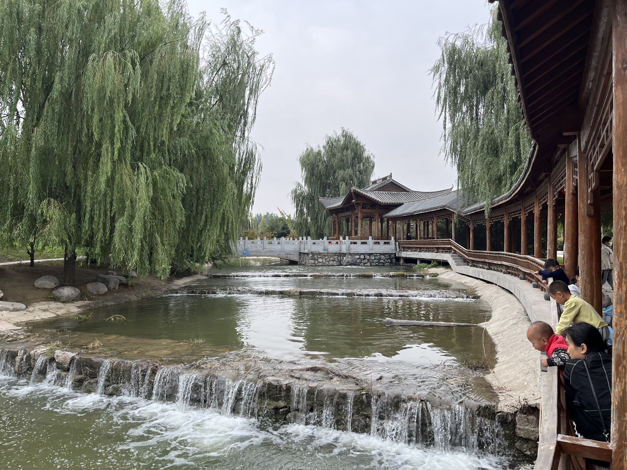 龙文化公园旅行图片 3
