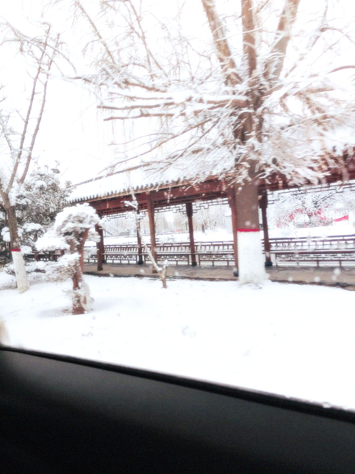 龙文化公园旅行图片 1