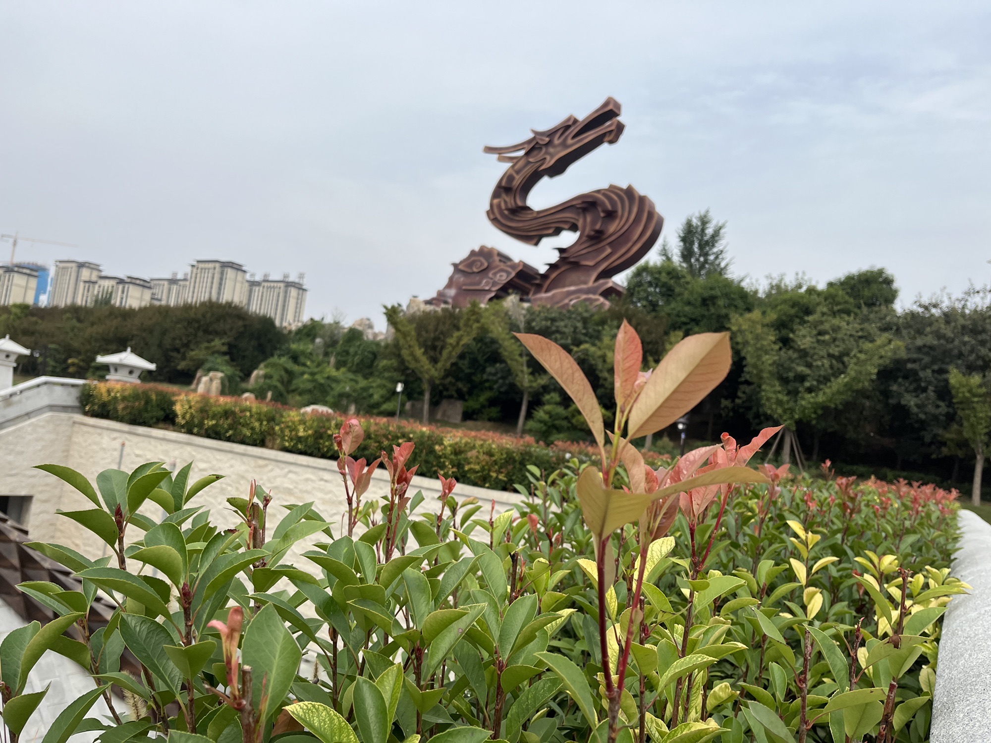 龙文化公园旅行图片 1
