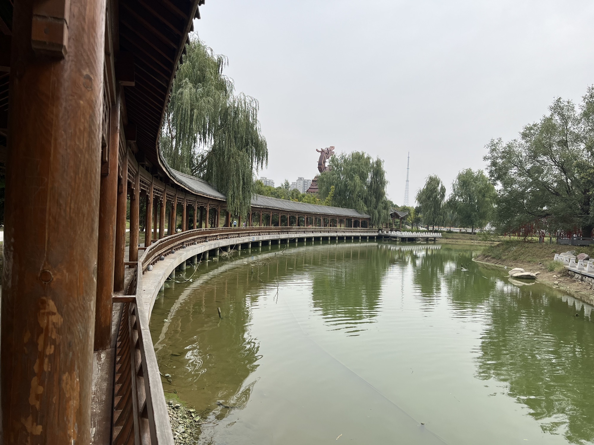 龙文化公园旅行图片 2