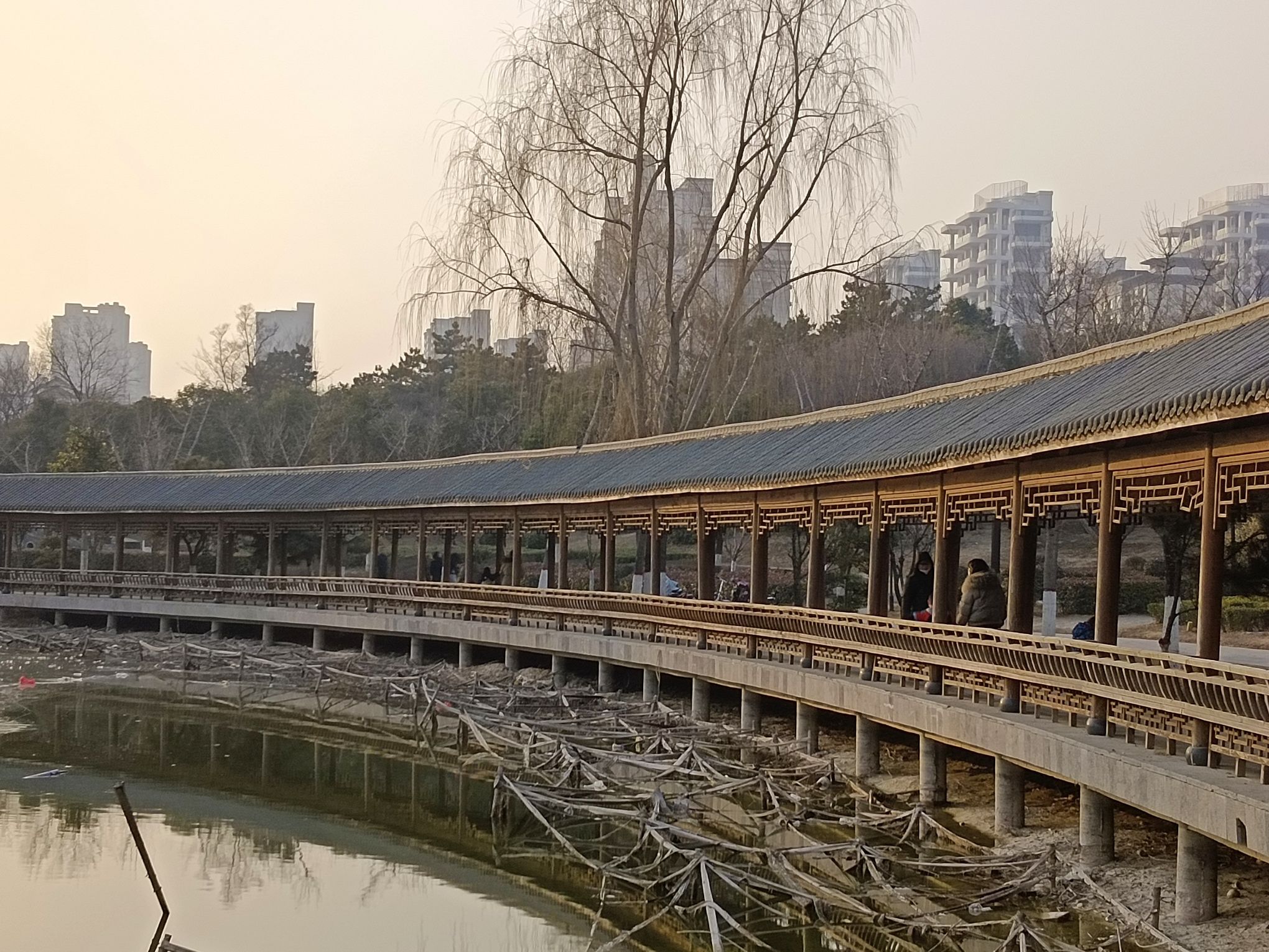 龙文化公园旅行图片 1