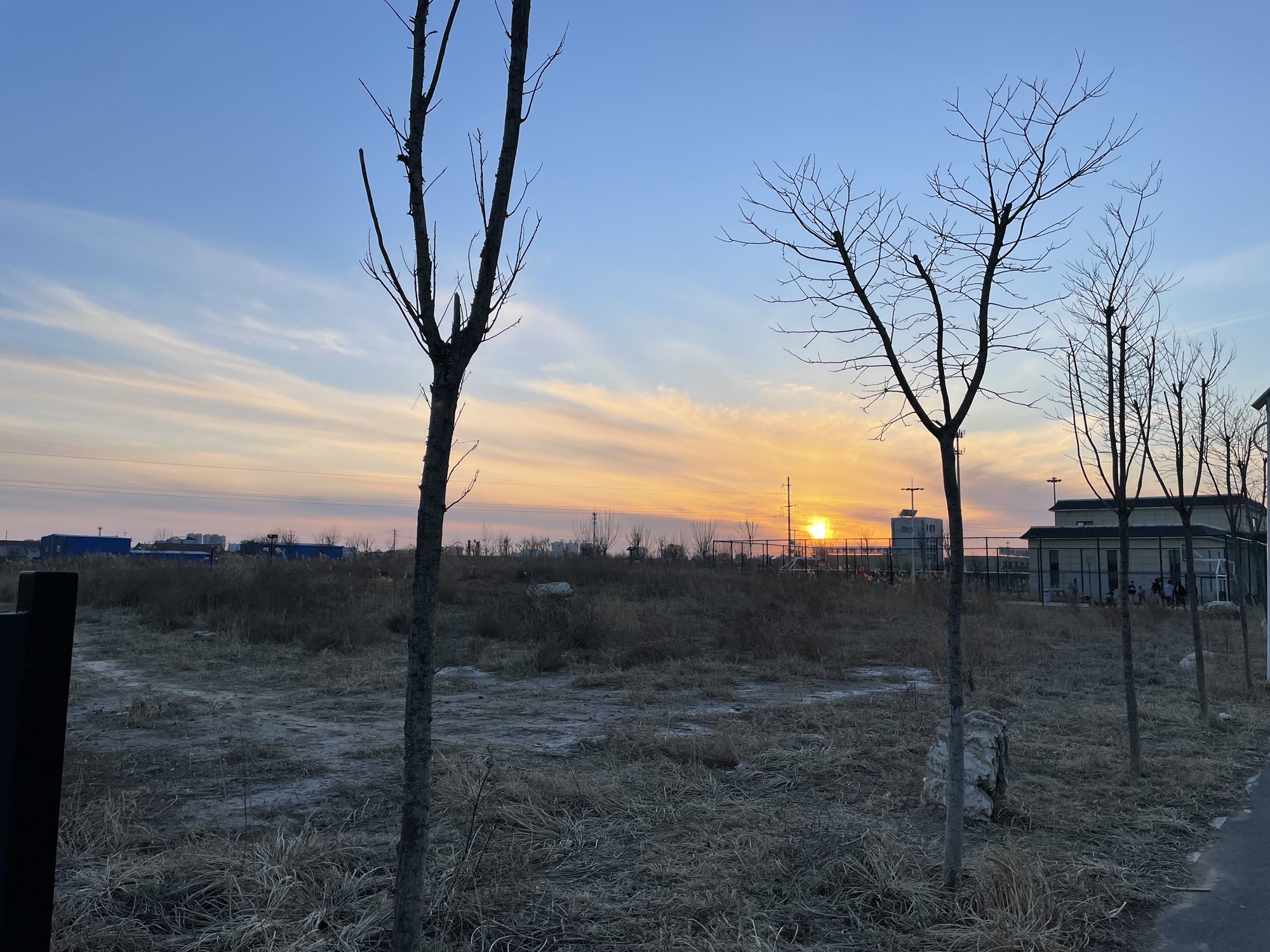 德州市陵城湿地公园旅行图片 1