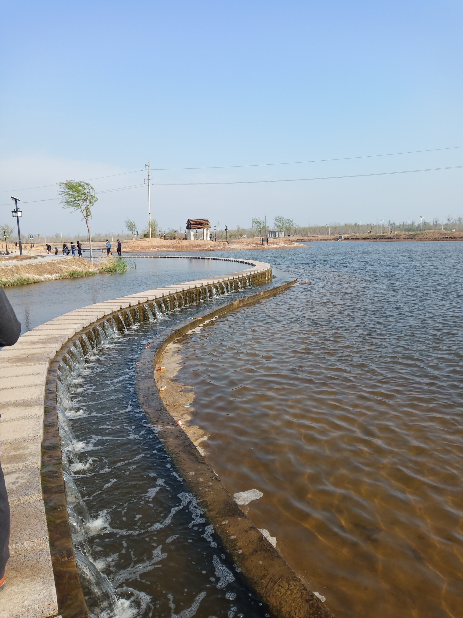 德州市陵城湿地公园旅行图片 1