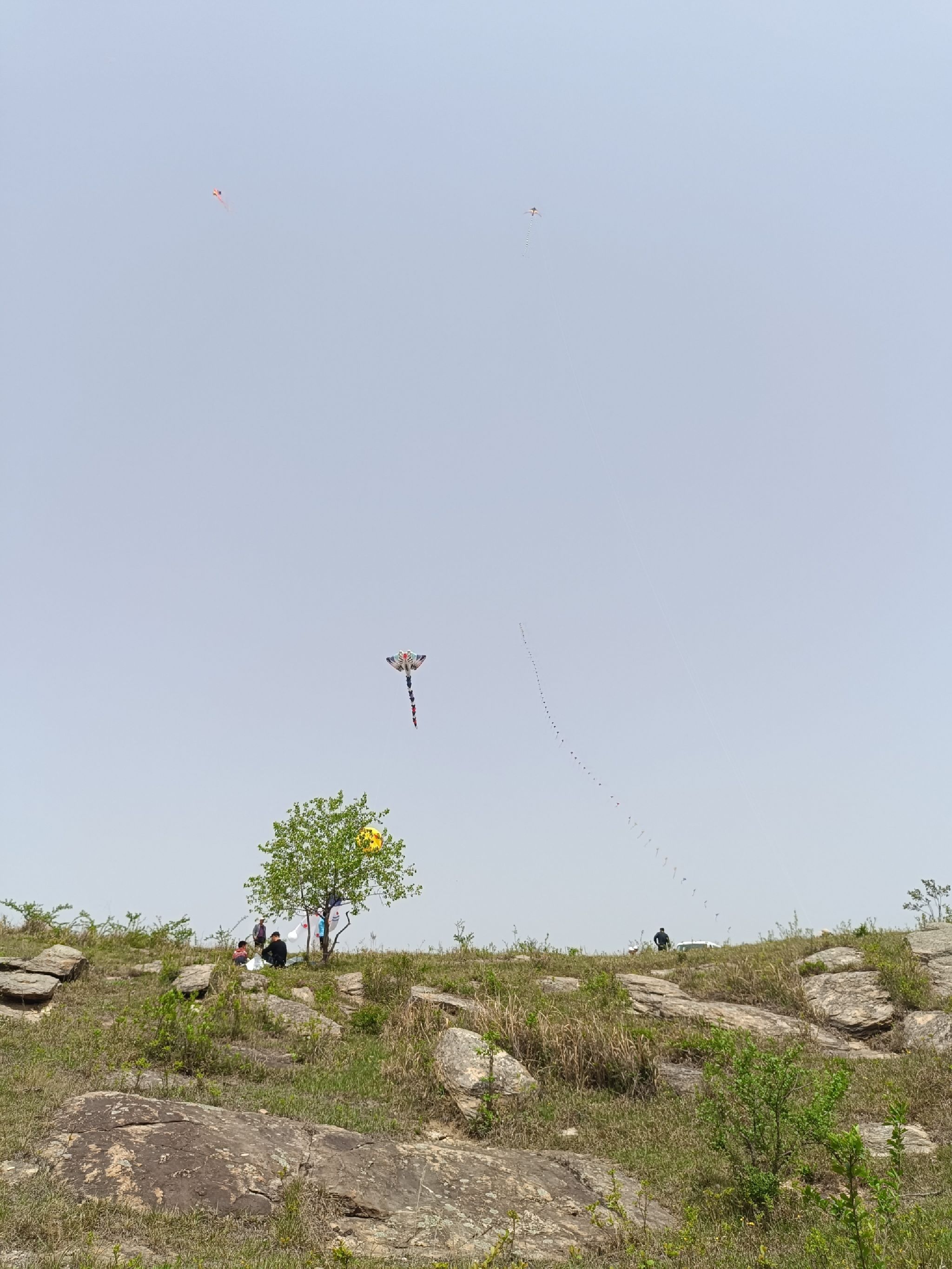 黄寨牧场峡水湾旅行图片 1