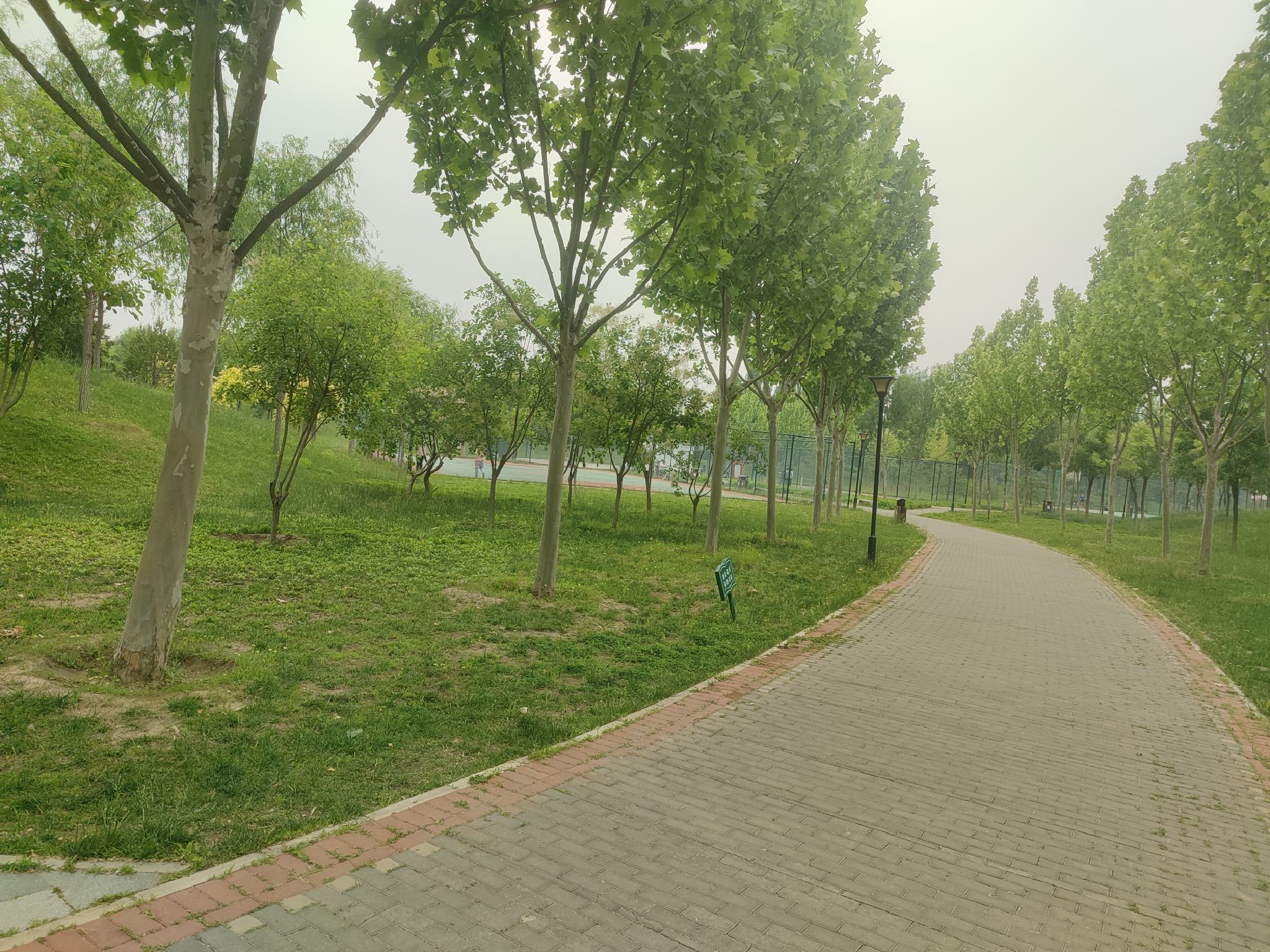 瀛海体育运动公园旅行图片 1