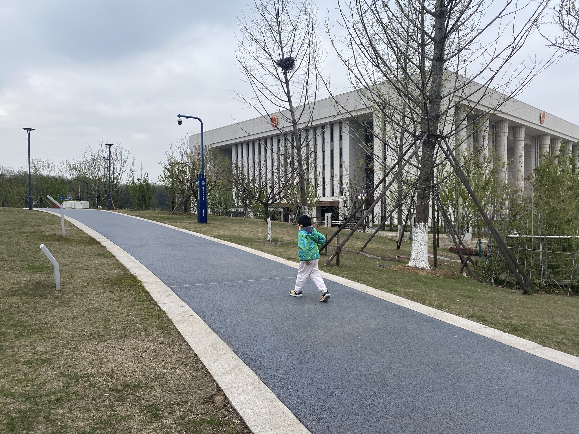 瑞龙郊野公园旅行图片 1