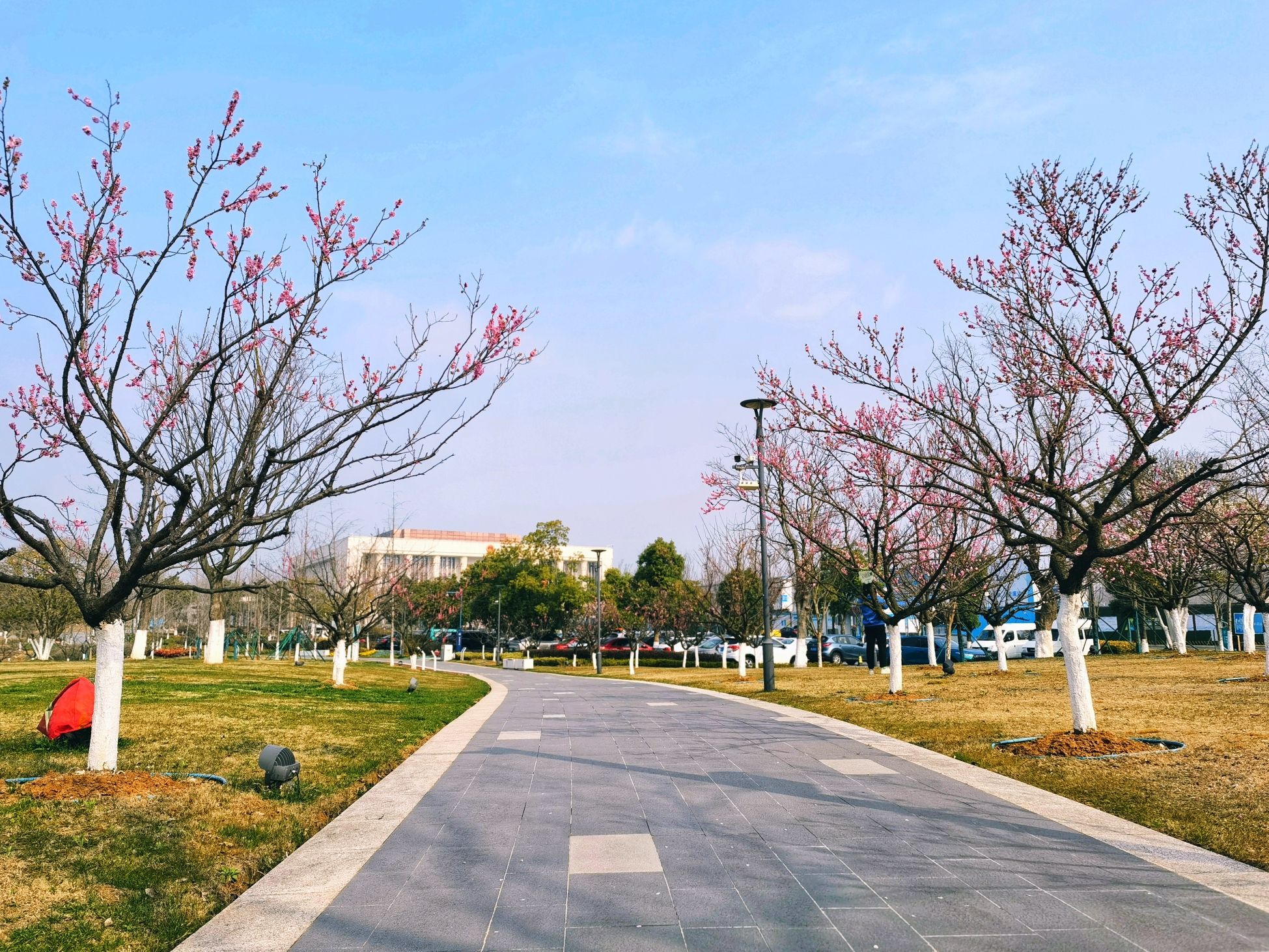 瑞龙郊野公园旅行图片 2