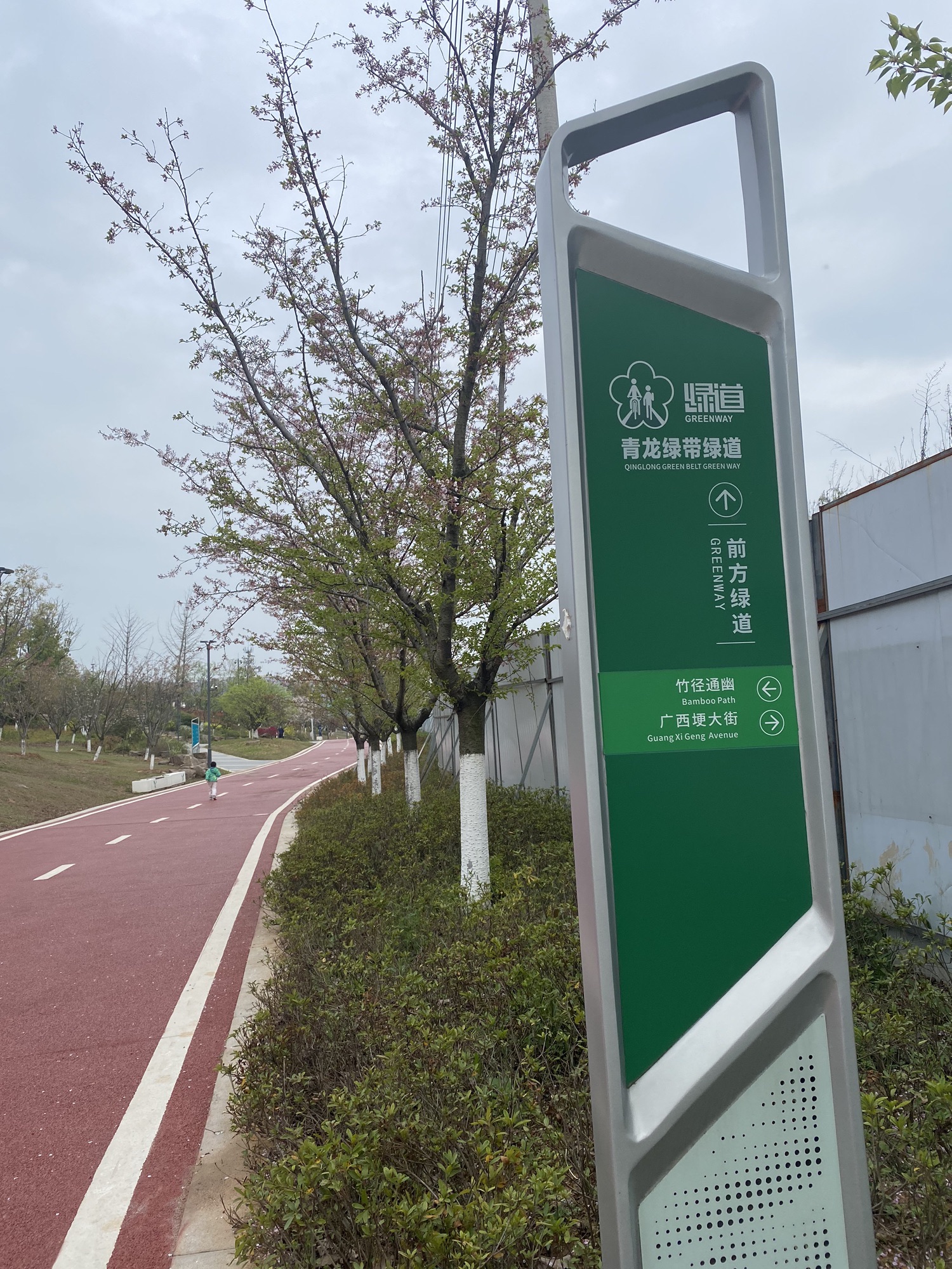 瑞龙郊野公园旅行图片 2