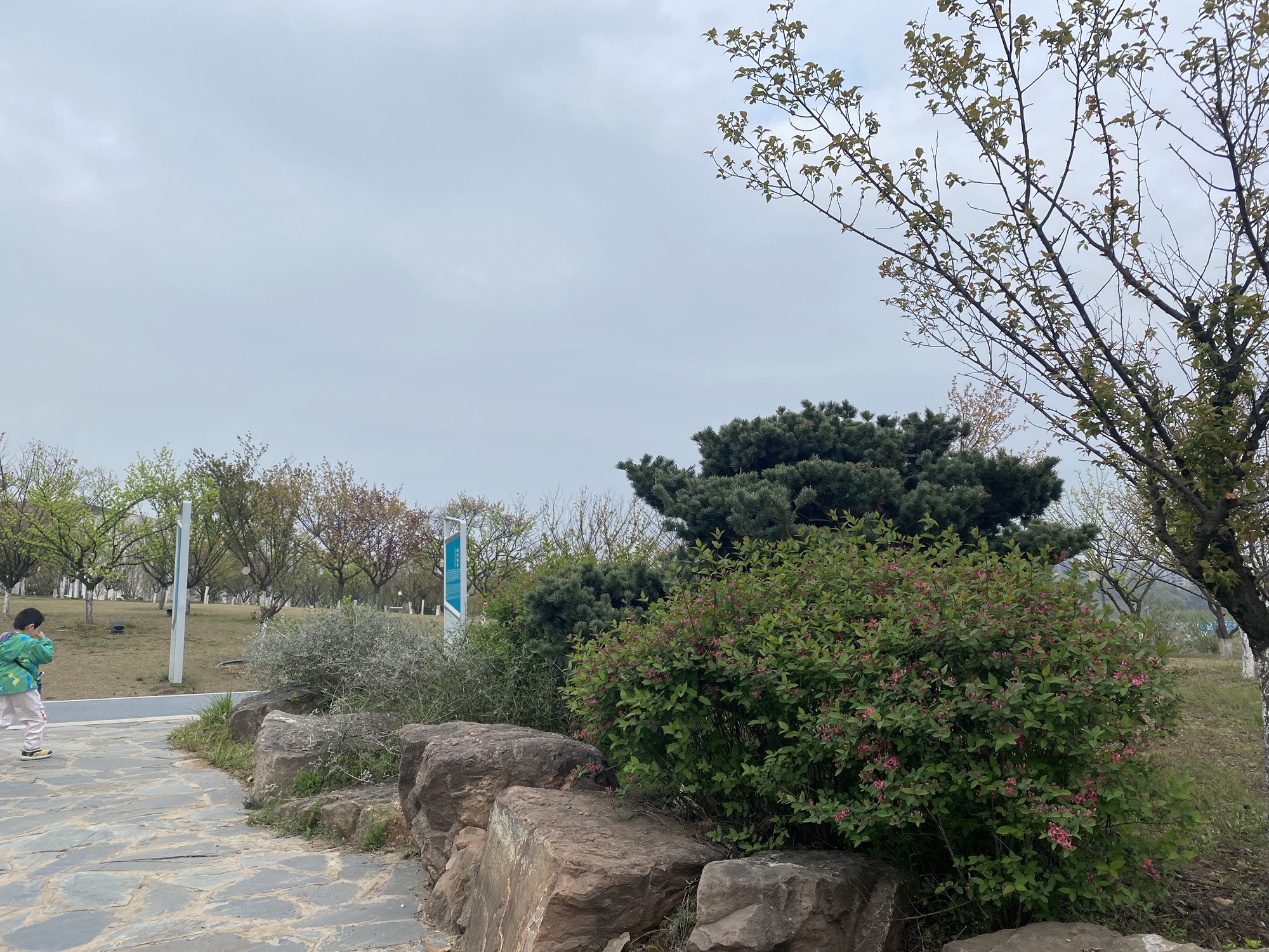 瑞龙郊野公园旅行图片 3