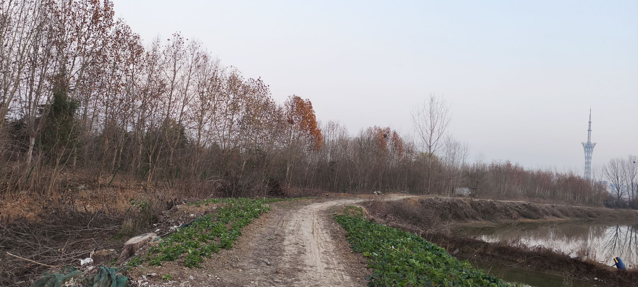 凤凰湖湿地公园旅行图片 2