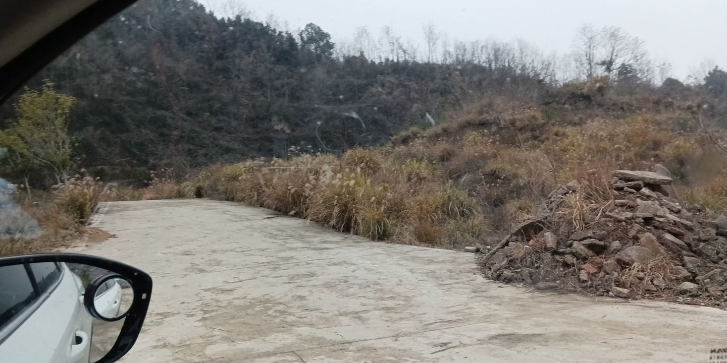 大酉山旅行图片 2