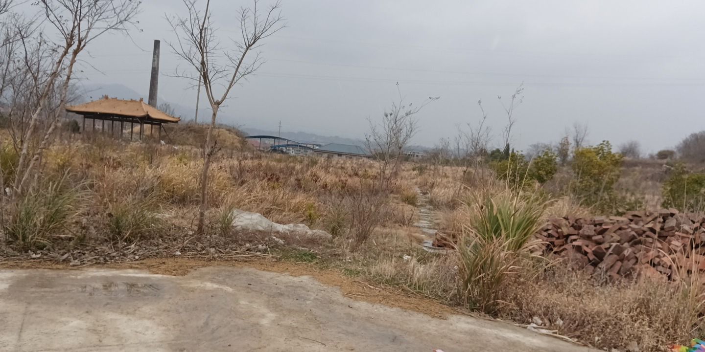 大酉山旅行图片 1
