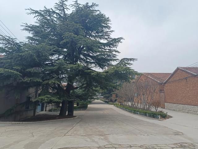 莱芜709文化产业园旅行图片 2