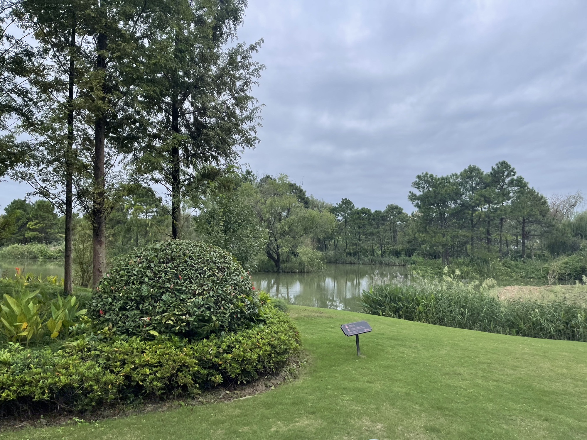 白鹭湿地公园旅行图片 2
