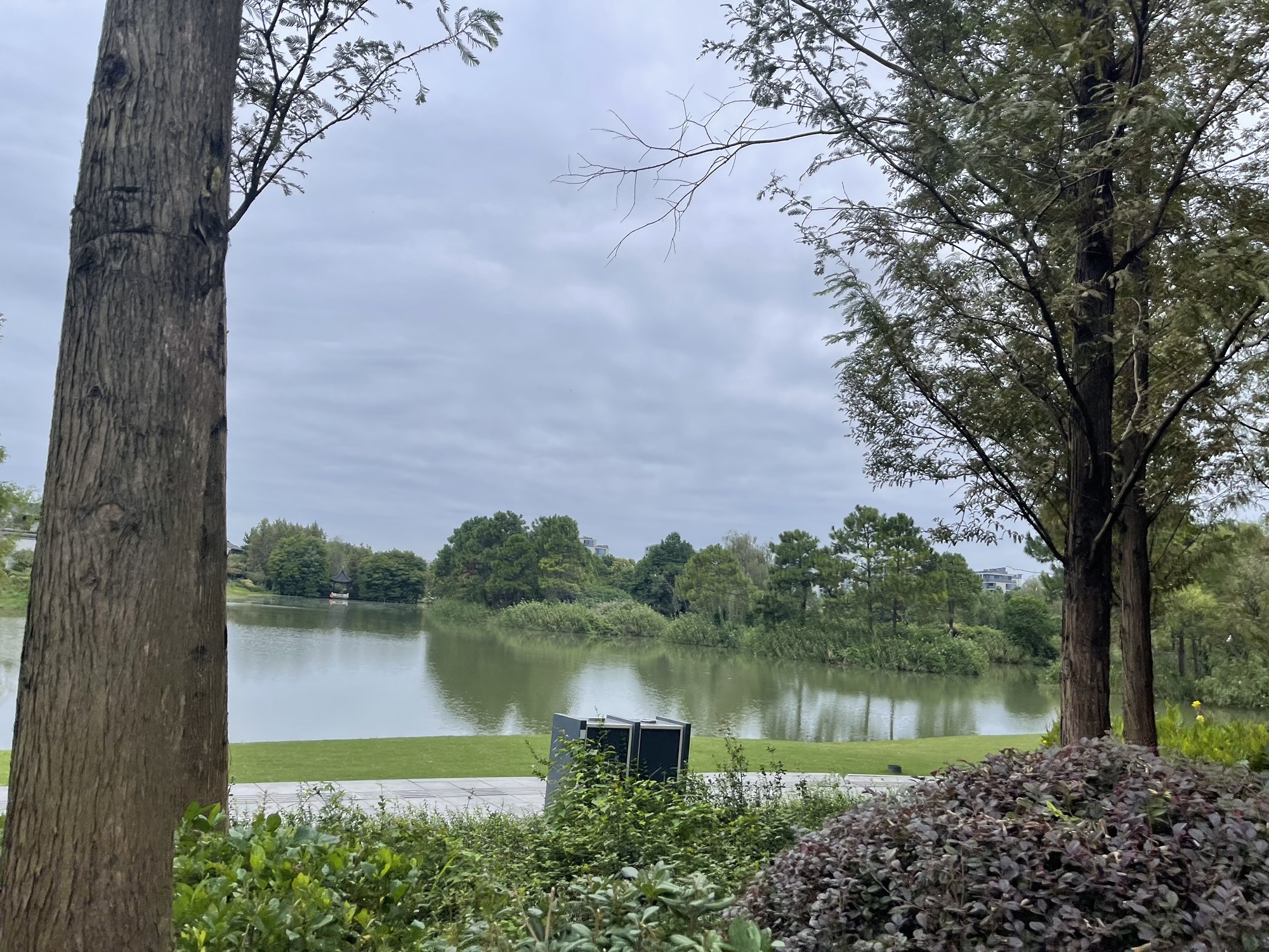 白鹭湿地公园旅行图片 1