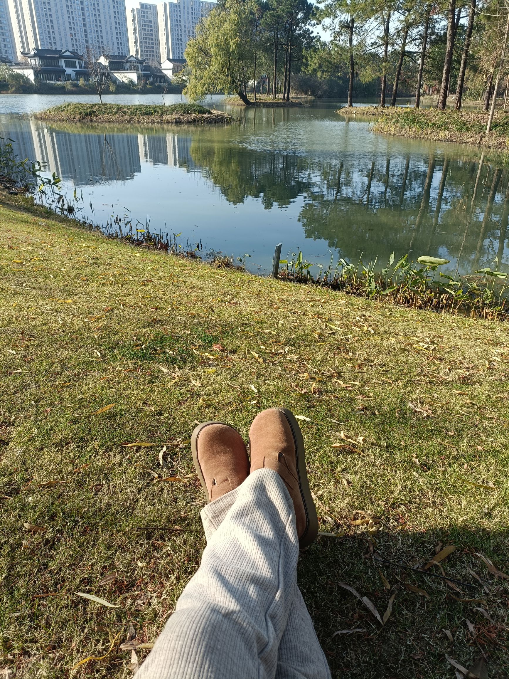 白鹭湿地公园旅行图片 3