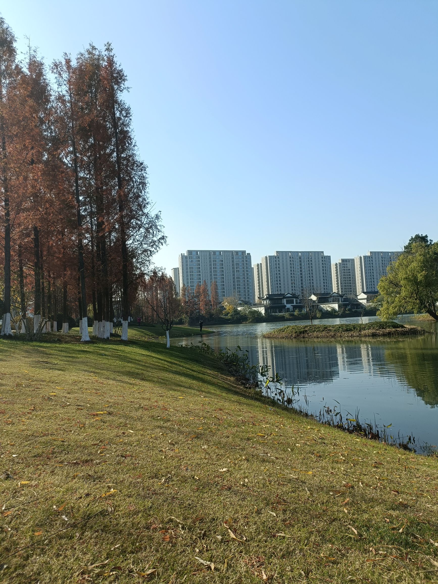 白鹭湿地公园旅行图片 1
