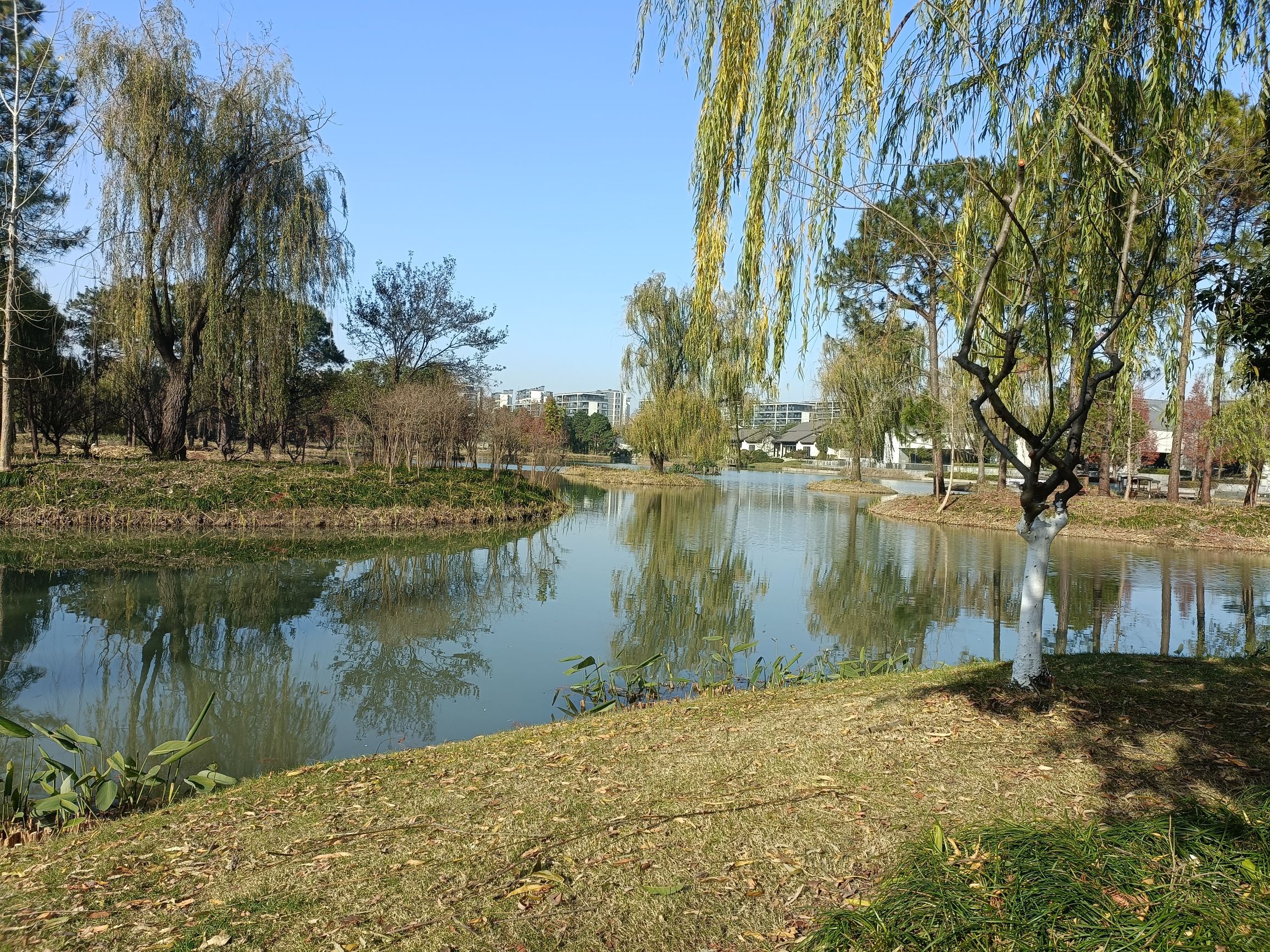白鹭湿地公园旅行图片 2