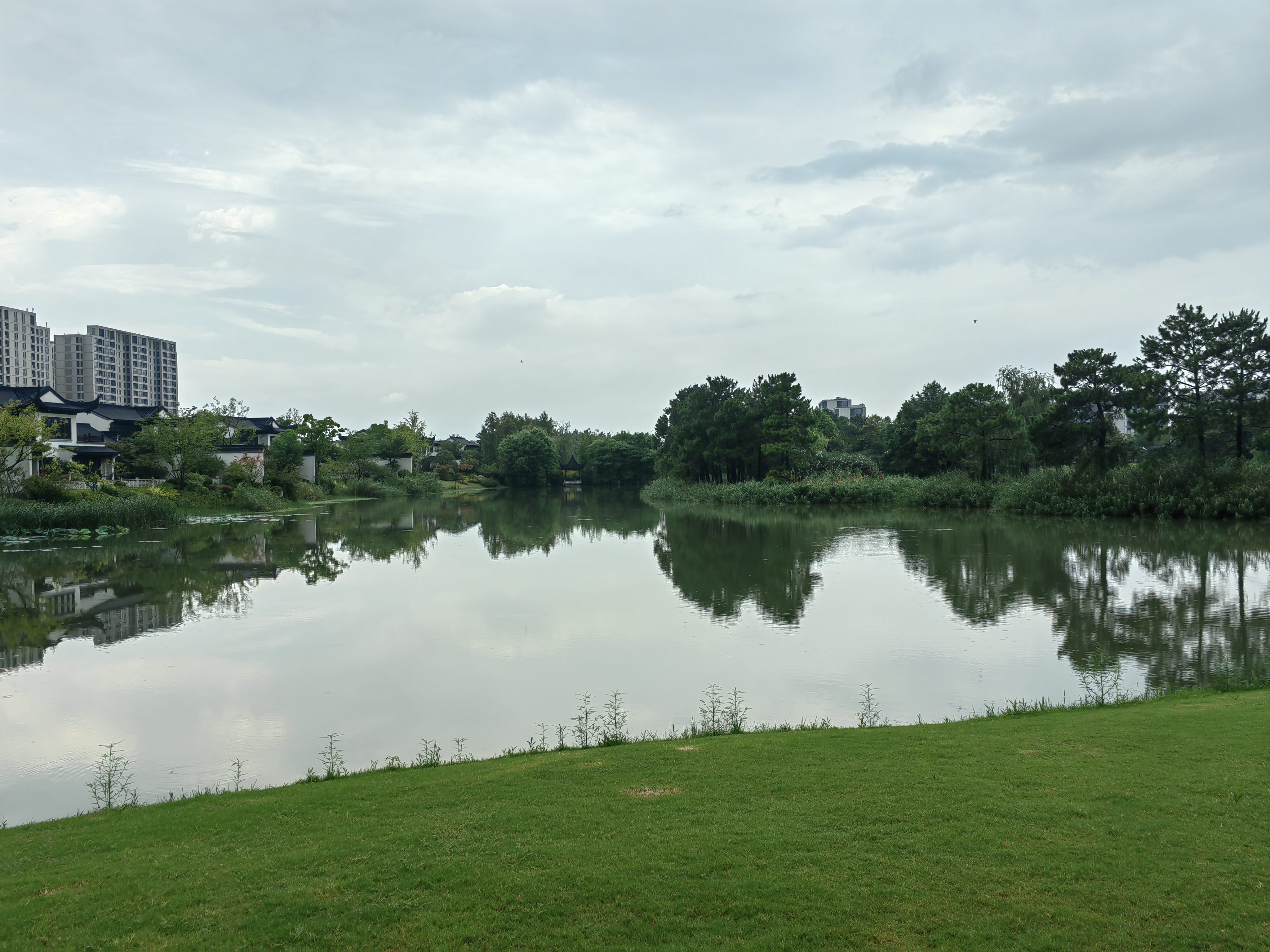 白鹭湿地公园旅行图片 3